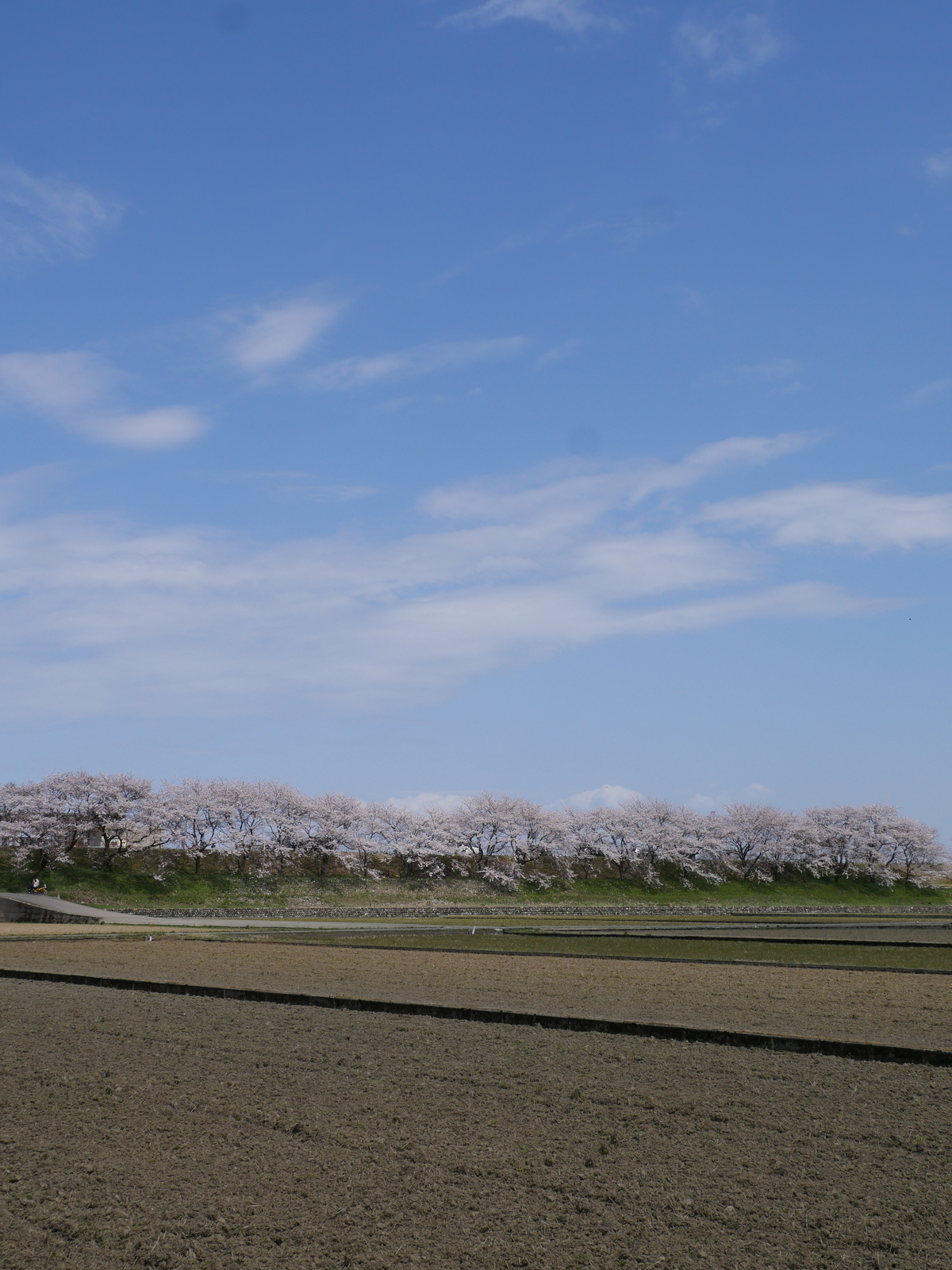 f:id:k10no3:20210403121301j:plain