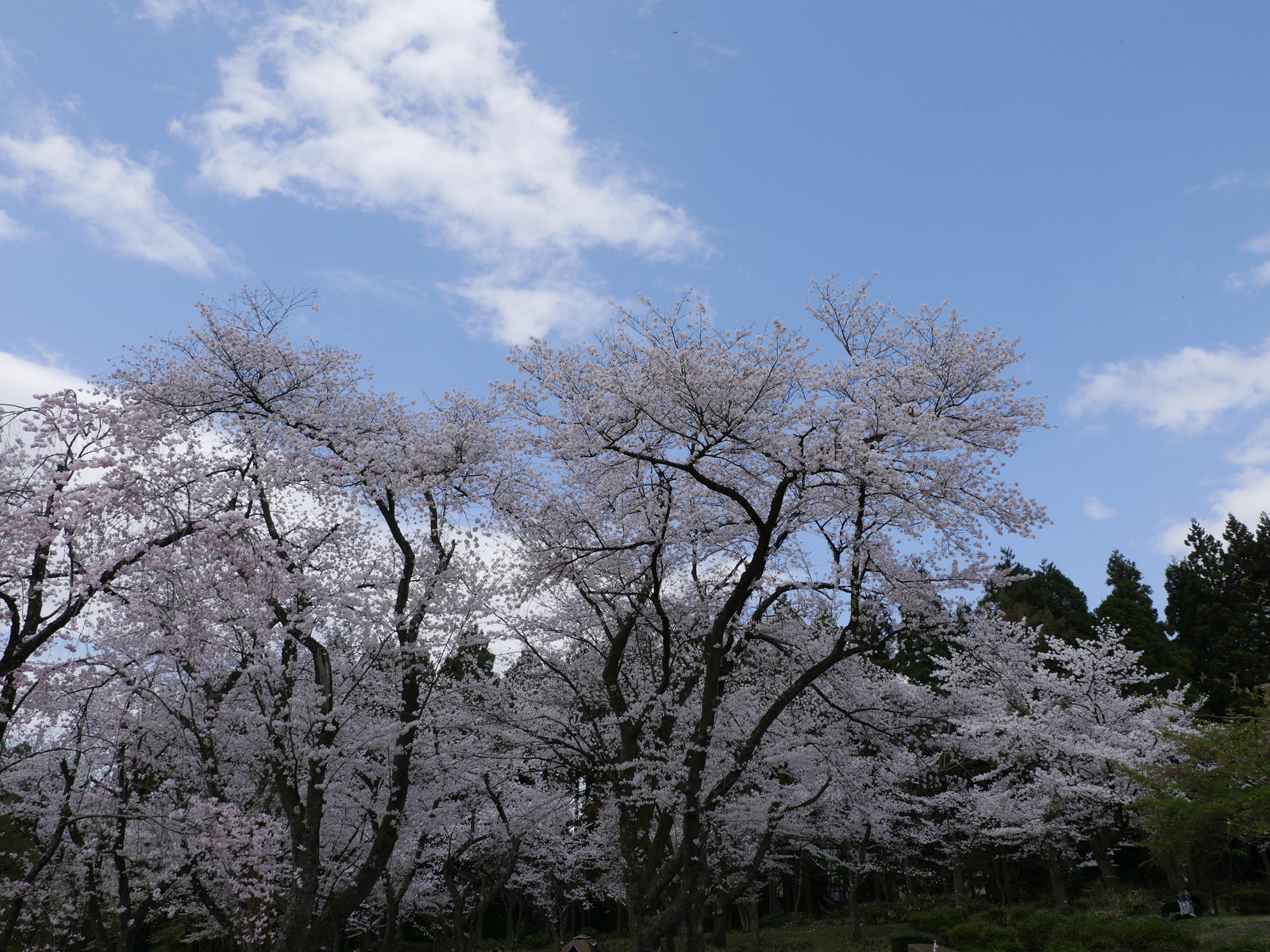 f:id:k10no3:20210403124646j:plain
