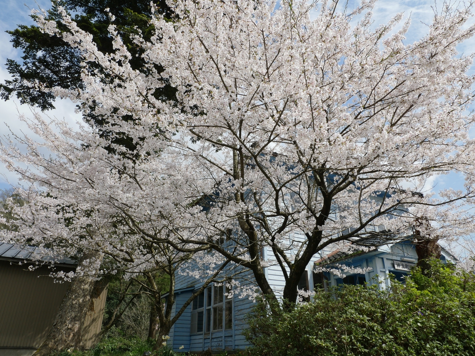 f:id:k10no3:20210403132512j:plain