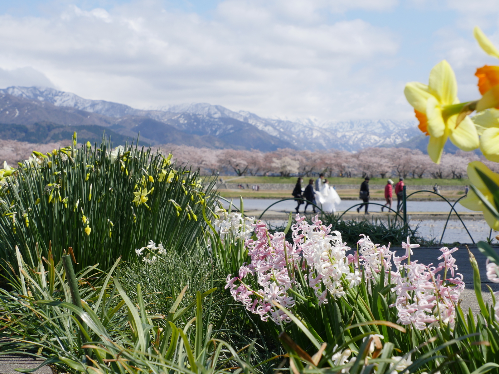 f:id:k10no3:20210410131315j:plain