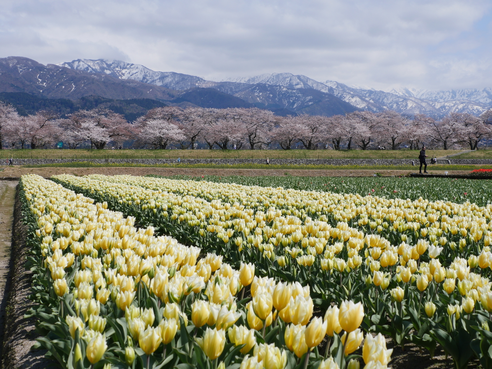 f:id:k10no3:20210410131650j:plain