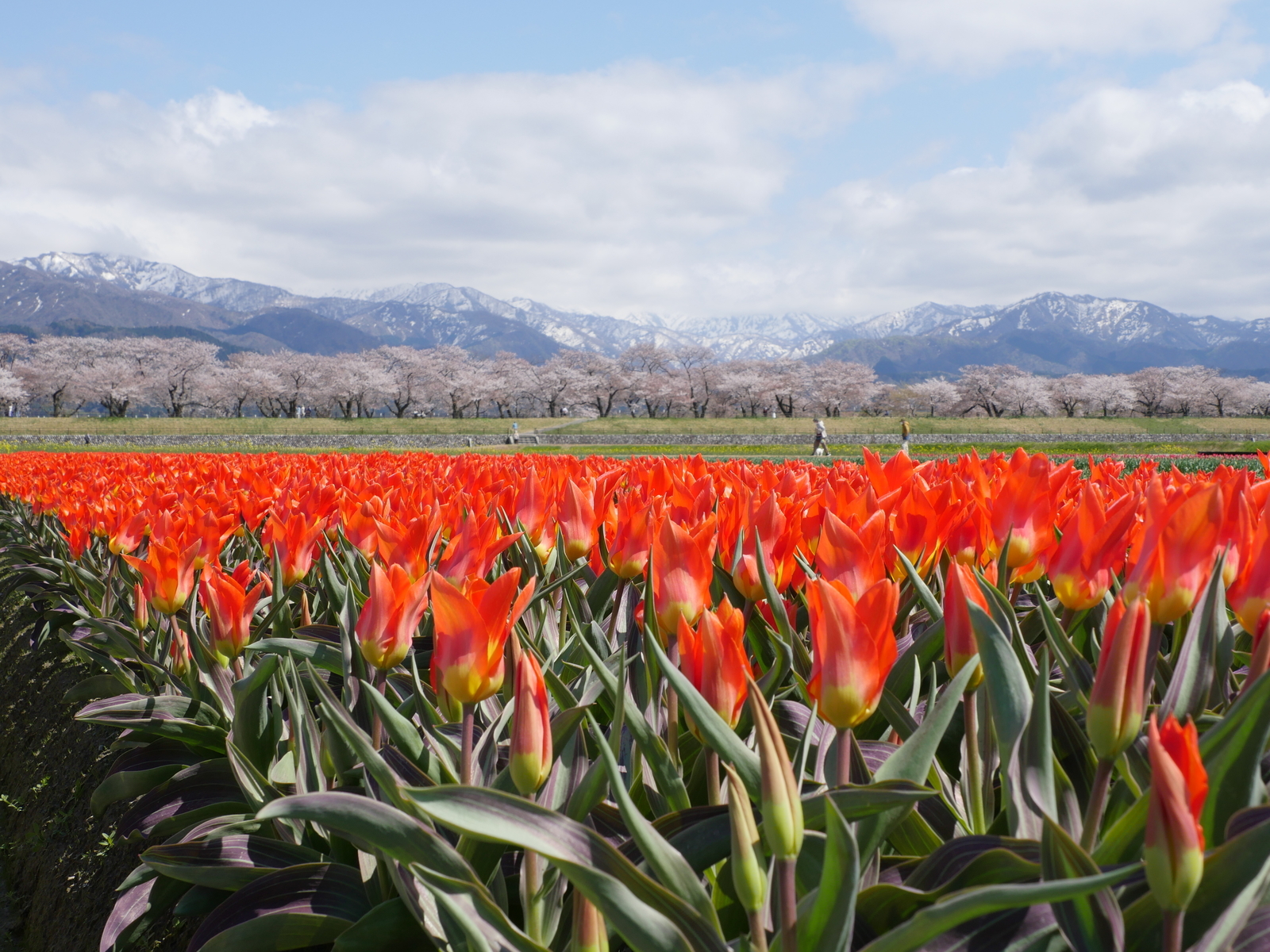 f:id:k10no3:20210410131735j:plain