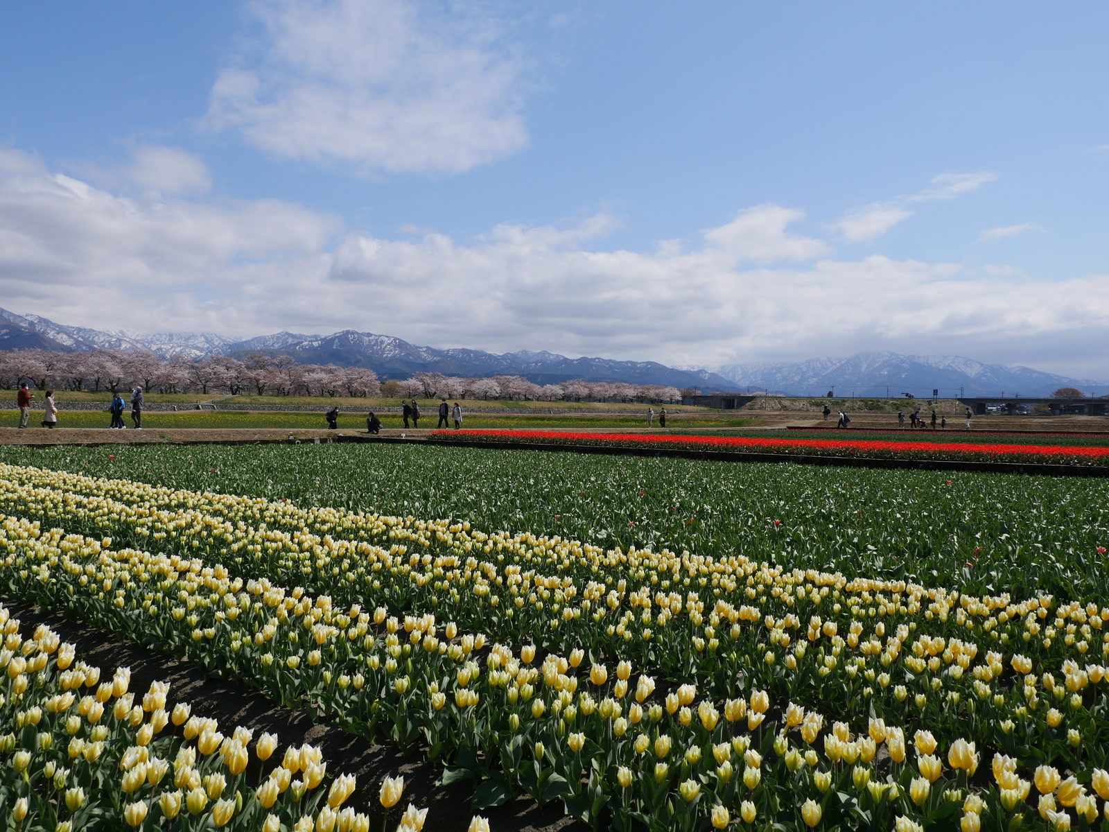 f:id:k10no3:20210410132215j:plain