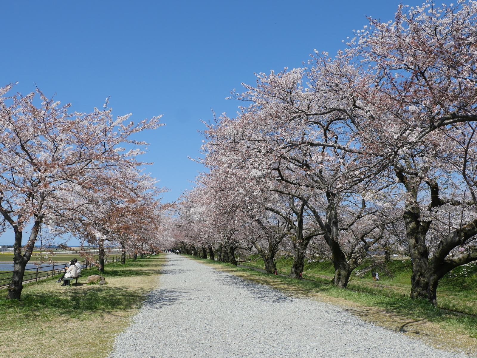 f:id:k10no3:20210410132648j:plain