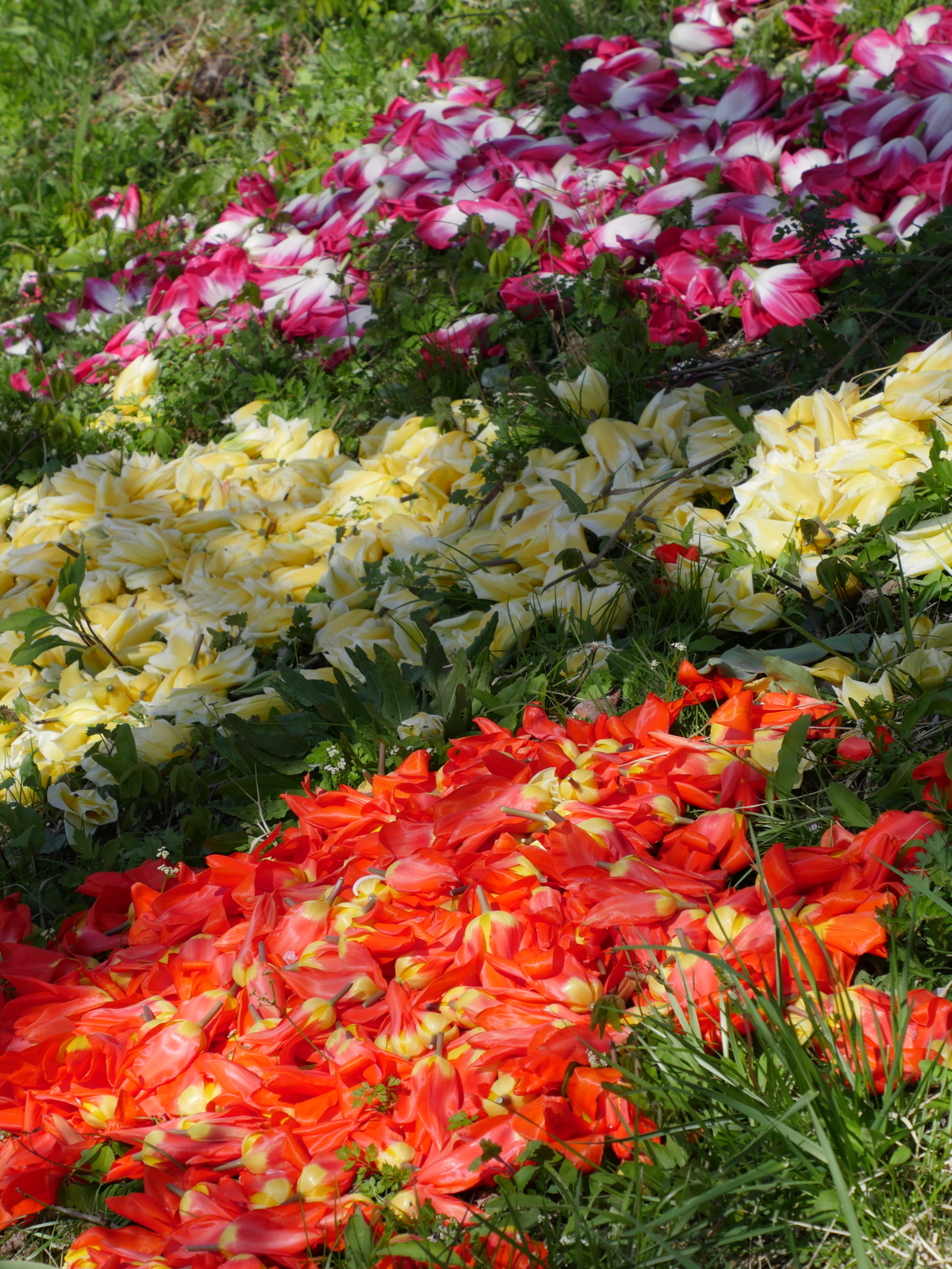 f:id:k10no3:20210410133347j:plain