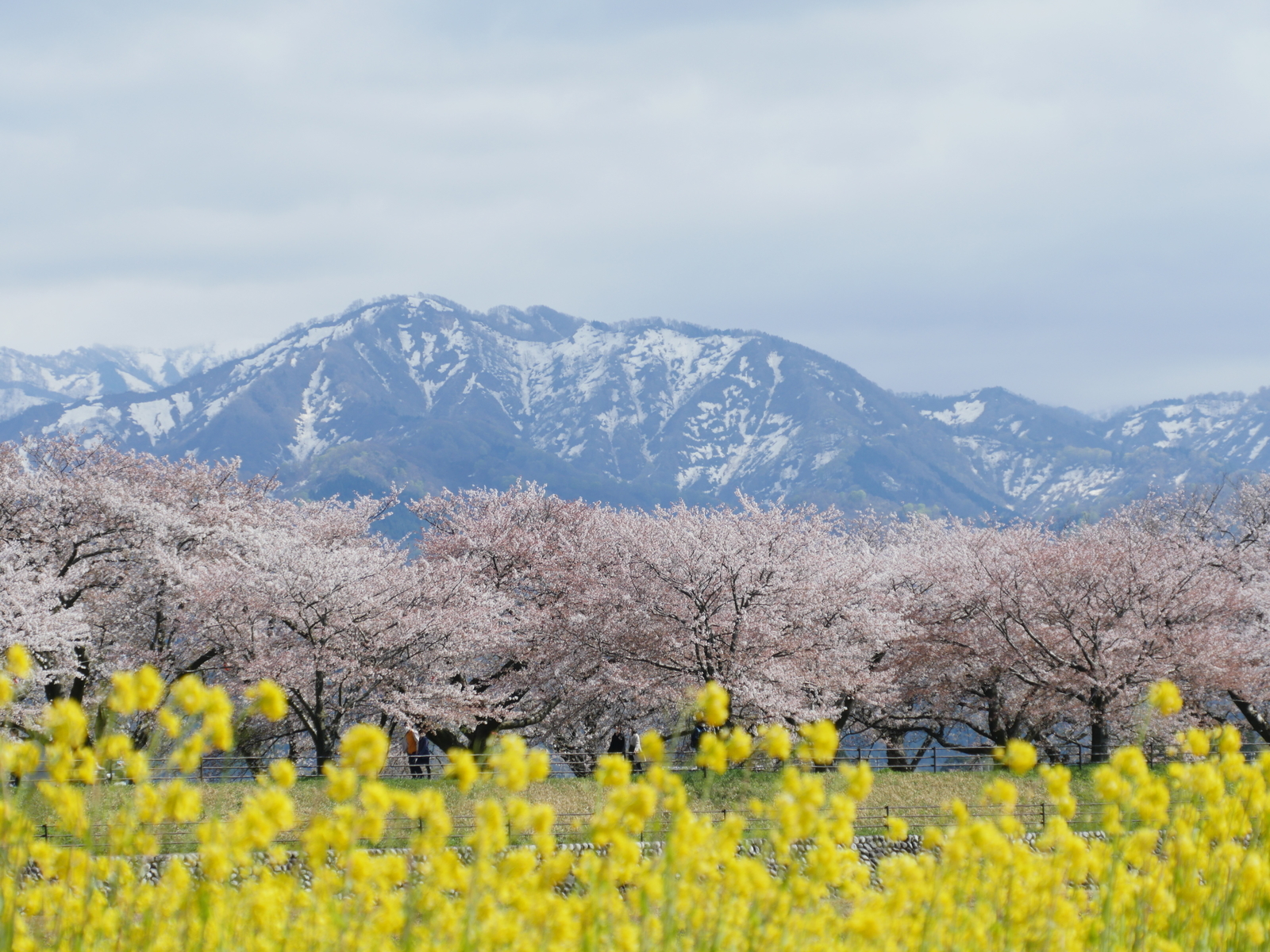 f:id:k10no3:20210410135207j:plain