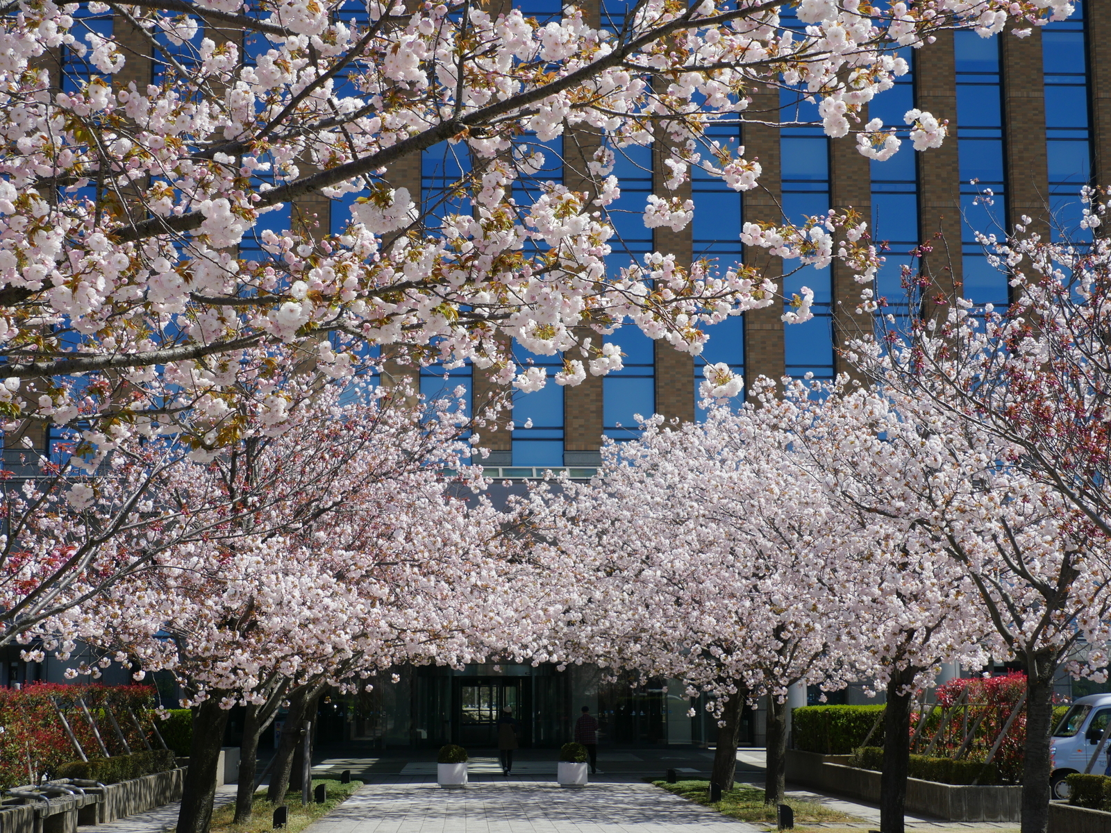 f:id:k10no3:20210411102659j:plain