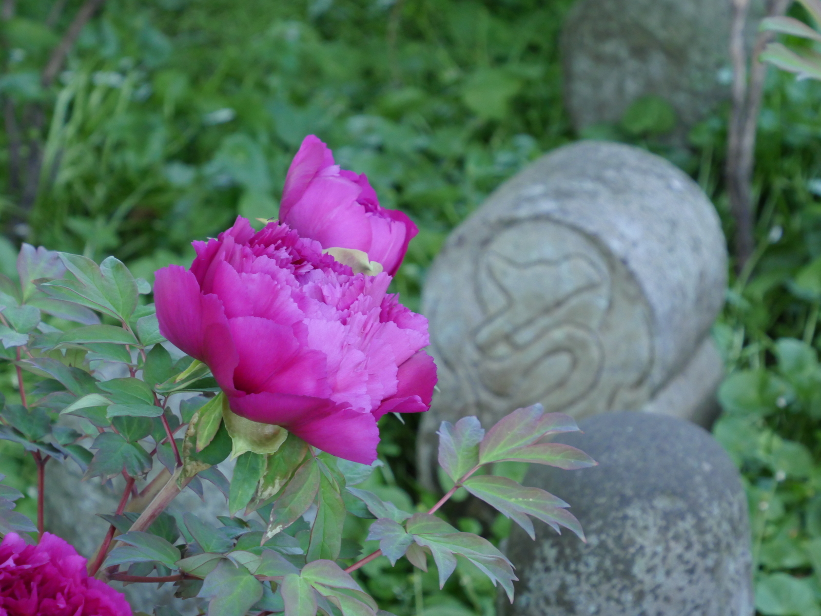 f:id:k10no3:20210427101200j:plain