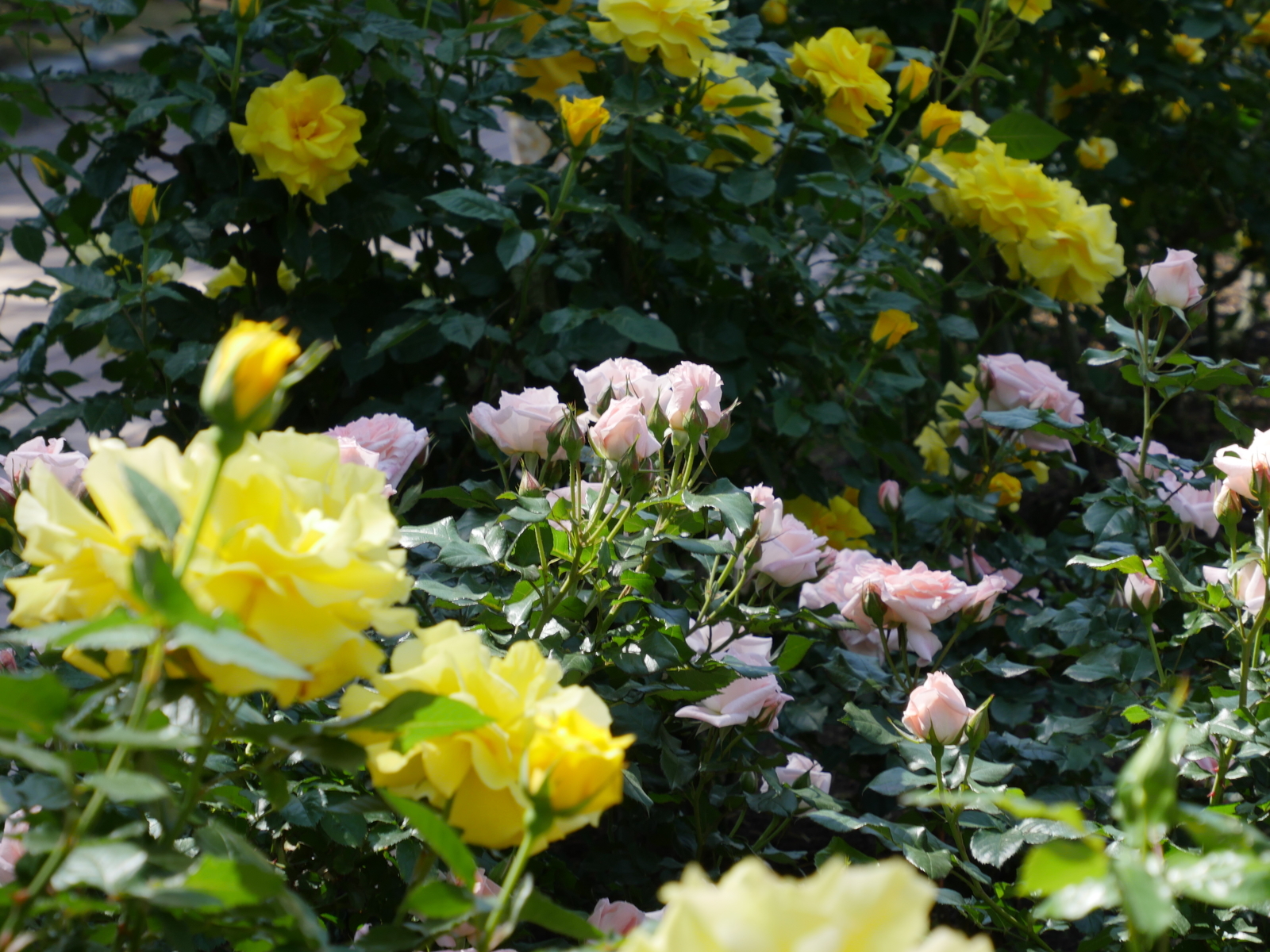 f:id:k10no3:20210515094901j:plain