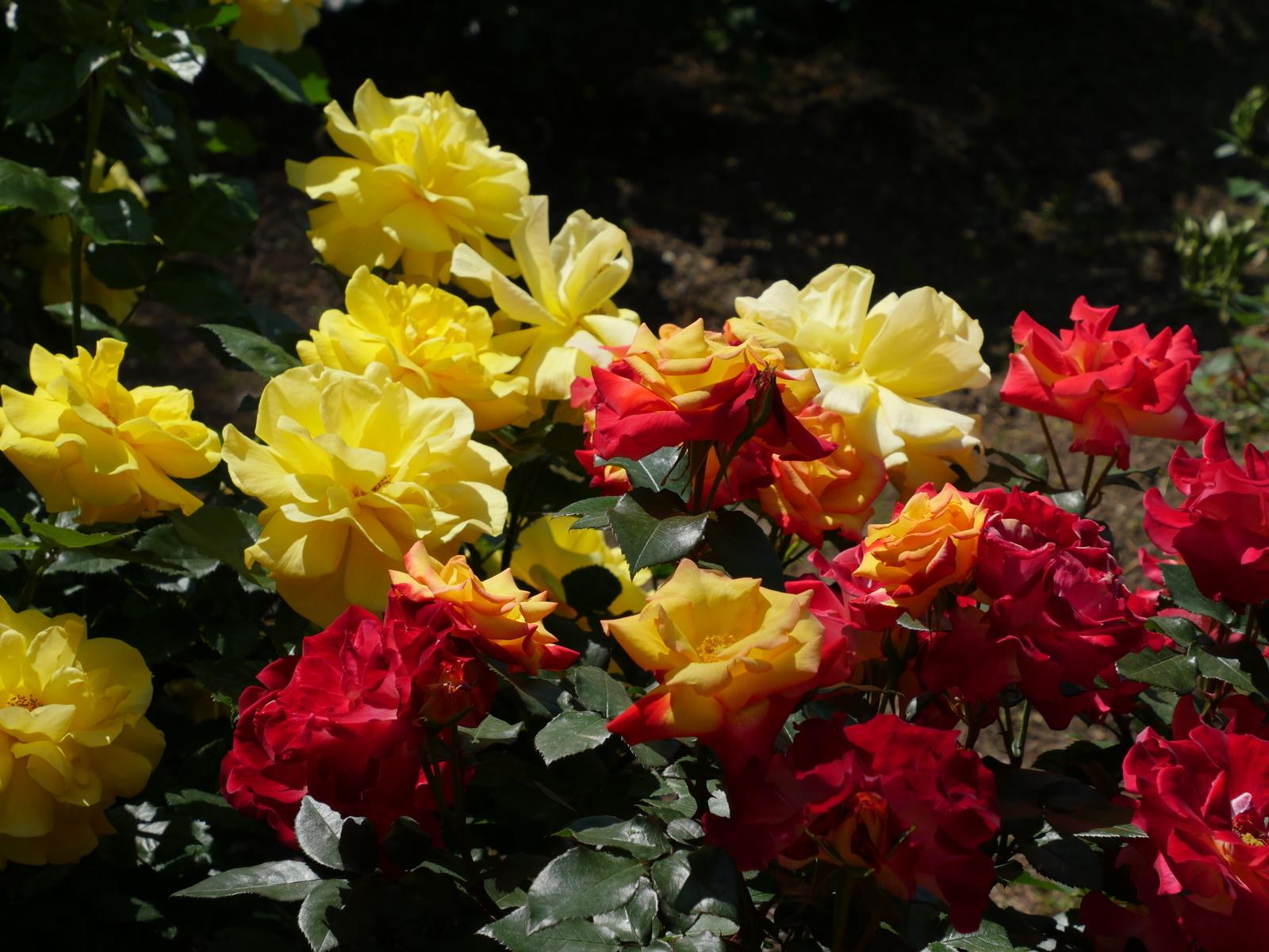 f:id:k10no3:20210515094914j:plain