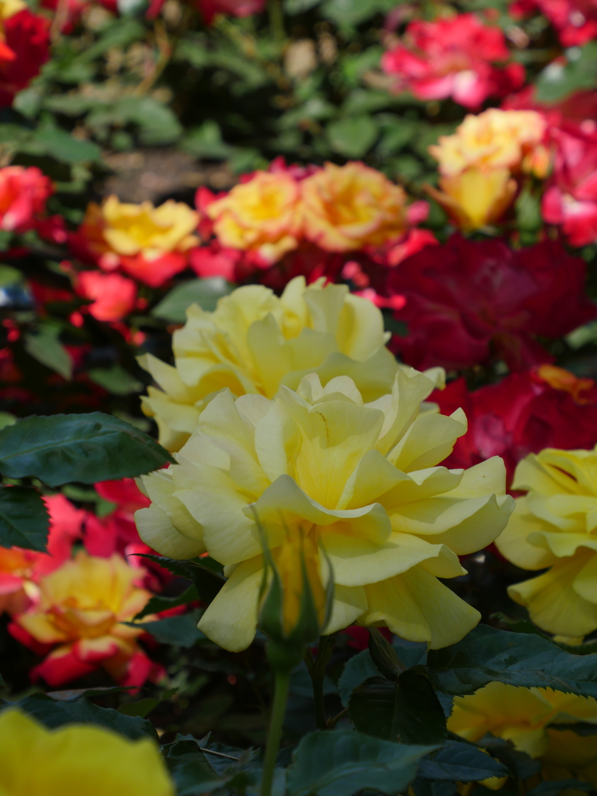 f:id:k10no3:20210515094938j:plain