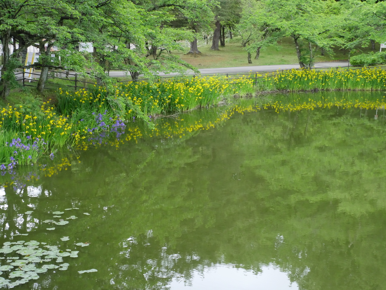 f:id:k10no3:20210516105025j:plain