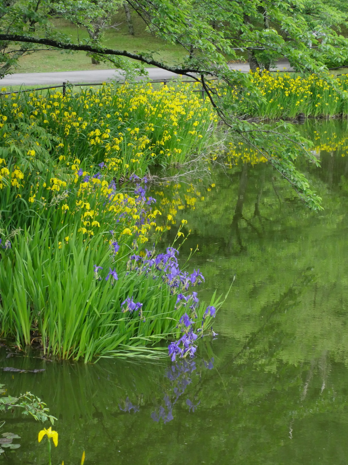 f:id:k10no3:20210516105123j:plain