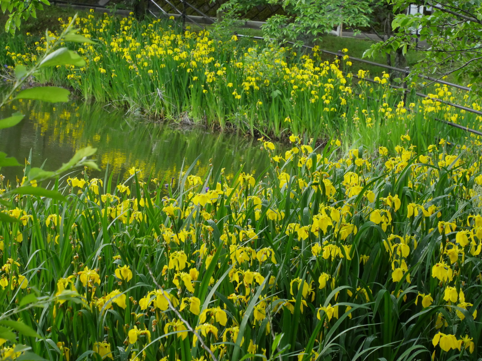 f:id:k10no3:20210516105357j:plain