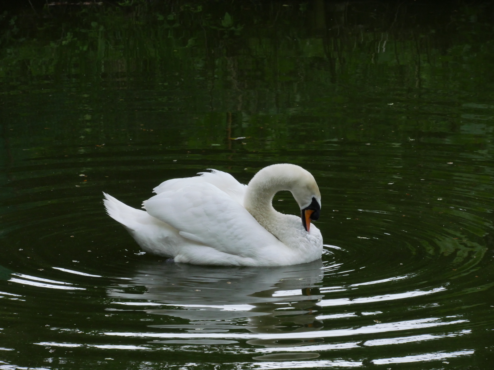 f:id:k10no3:20210516105759j:plain