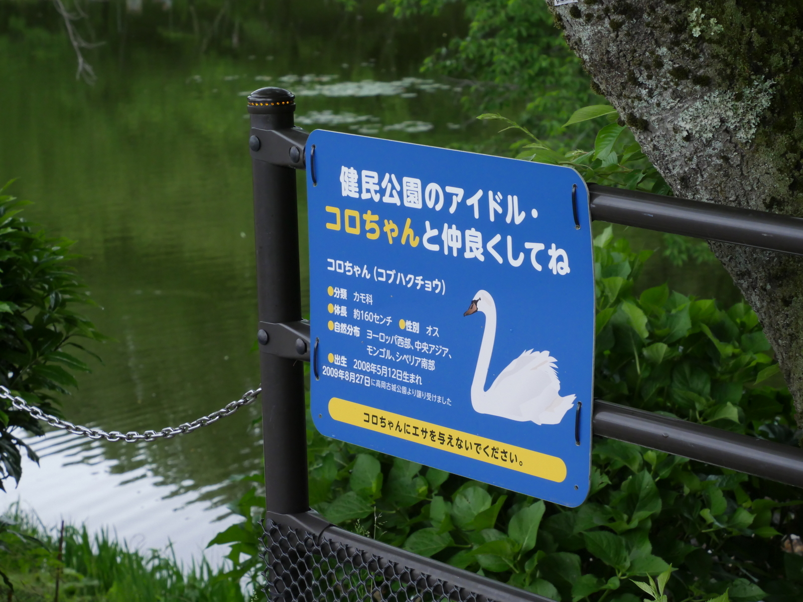 f:id:k10no3:20210516110008j:plain