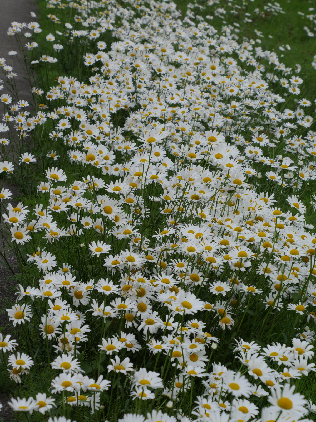 f:id:k10no3:20210522103146j:plain