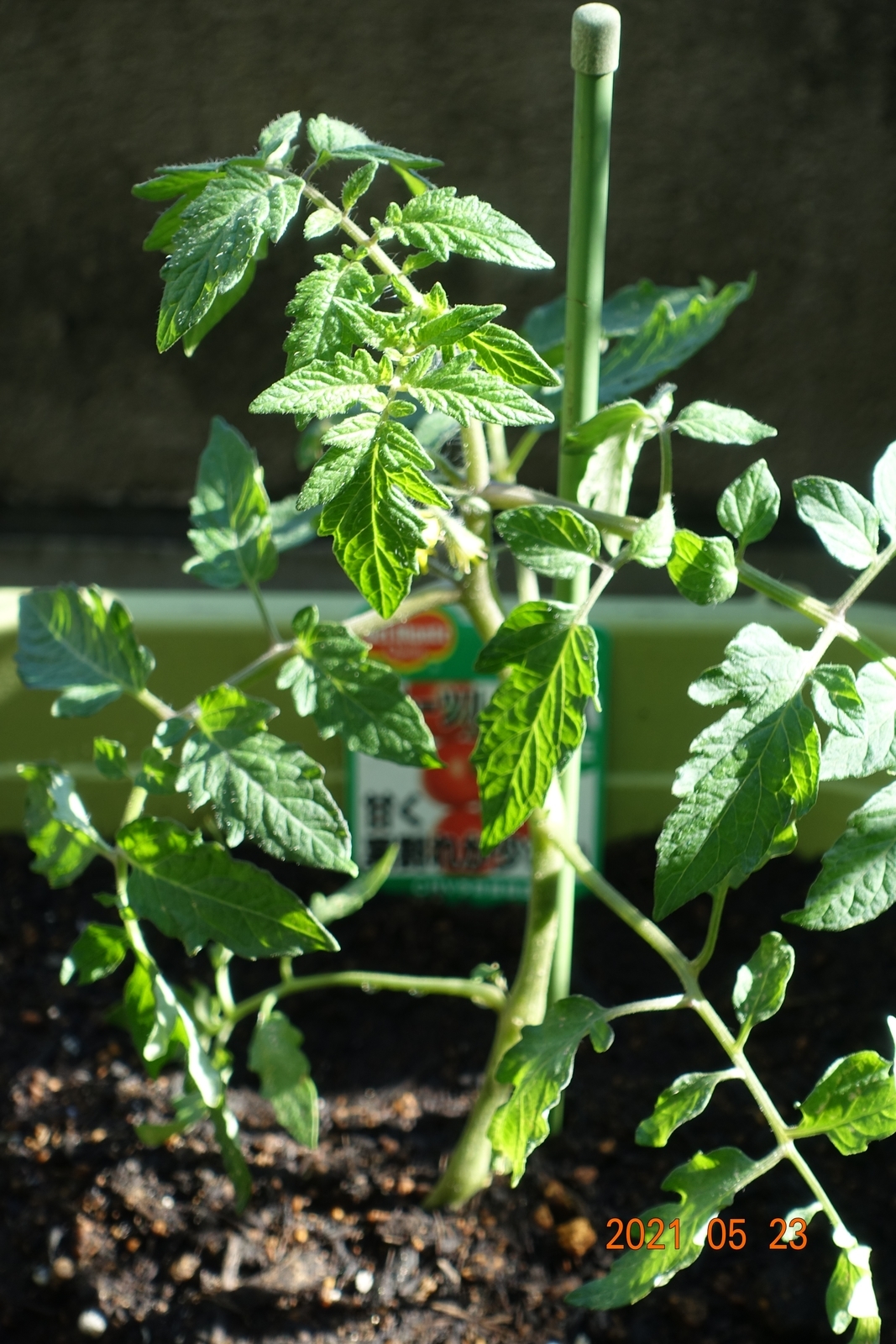 f:id:k10no3:20210523160648j:plain