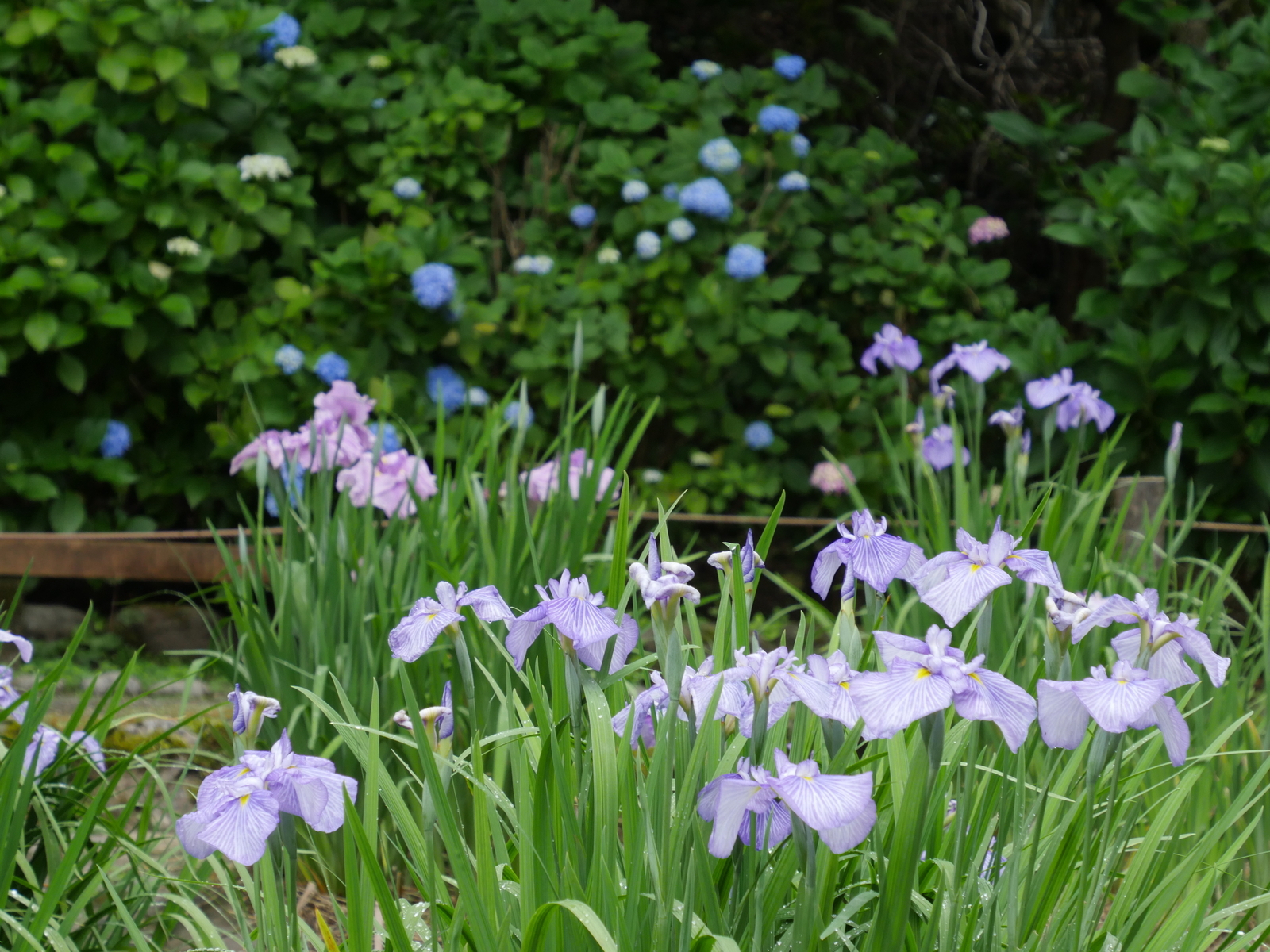 f:id:k10no3:20210613105130j:plain