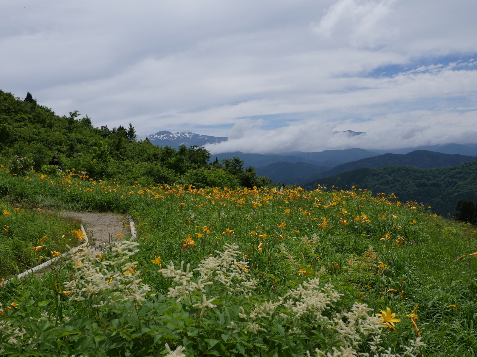 f:id:k10no3:20210620105123j:plain