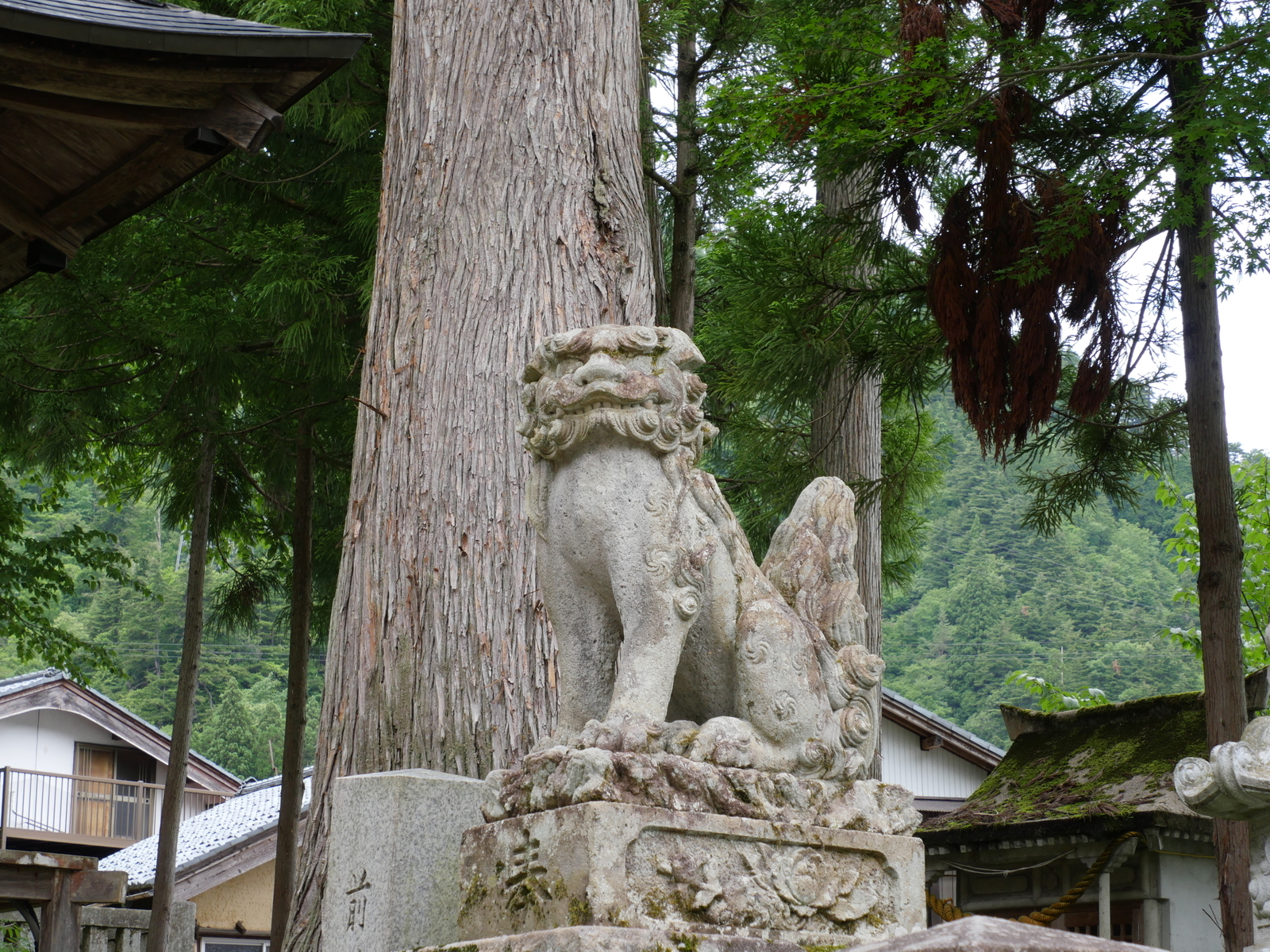 f:id:k10no3:20210620115654j:plain