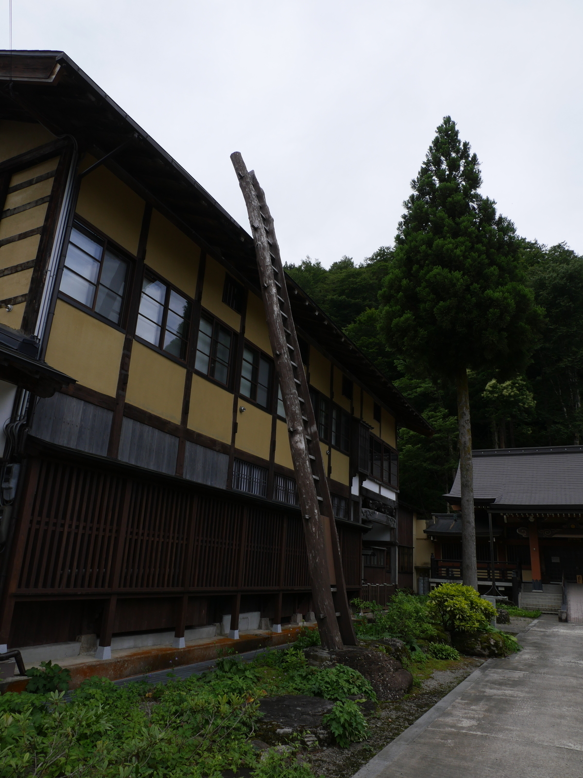 f:id:k10no3:20210620115907j:plain