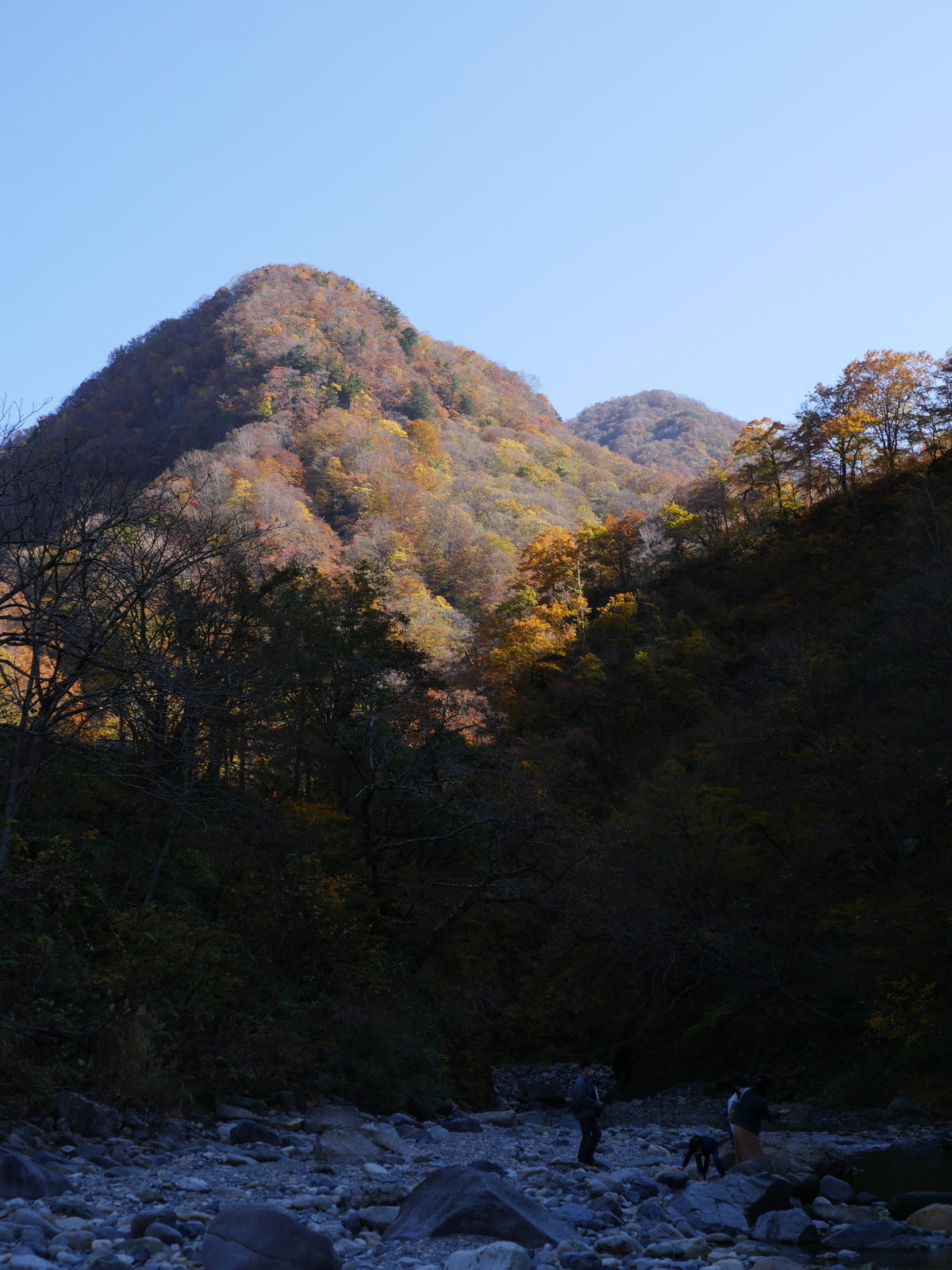 f:id:k10no3:20211107121236j:plain
