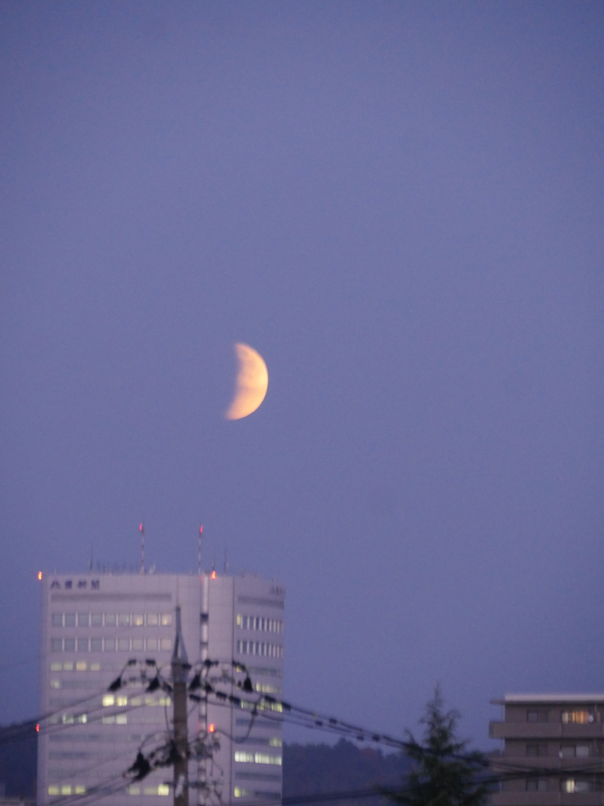 f:id:k10no3:20211119170815j:plain