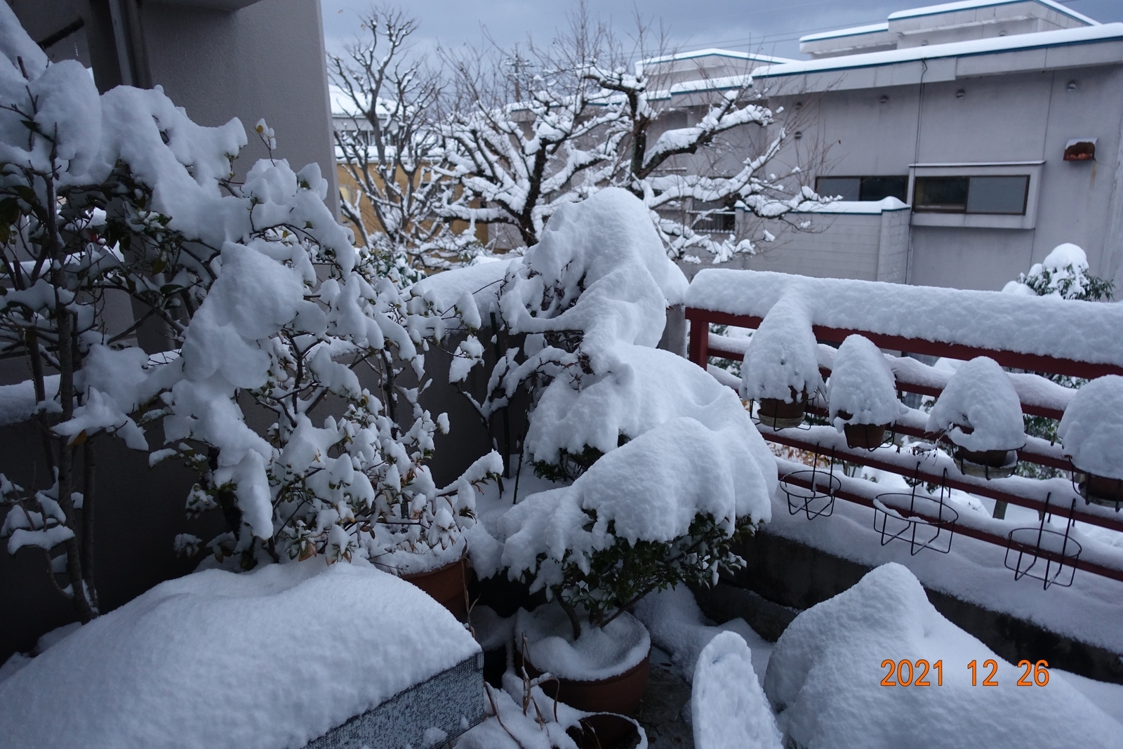 f:id:k10no3:20211226070651j:plain