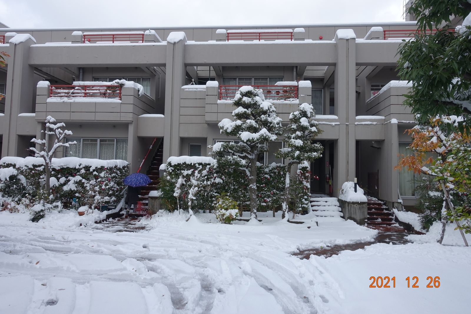 f:id:k10no3:20211226114931j:plain