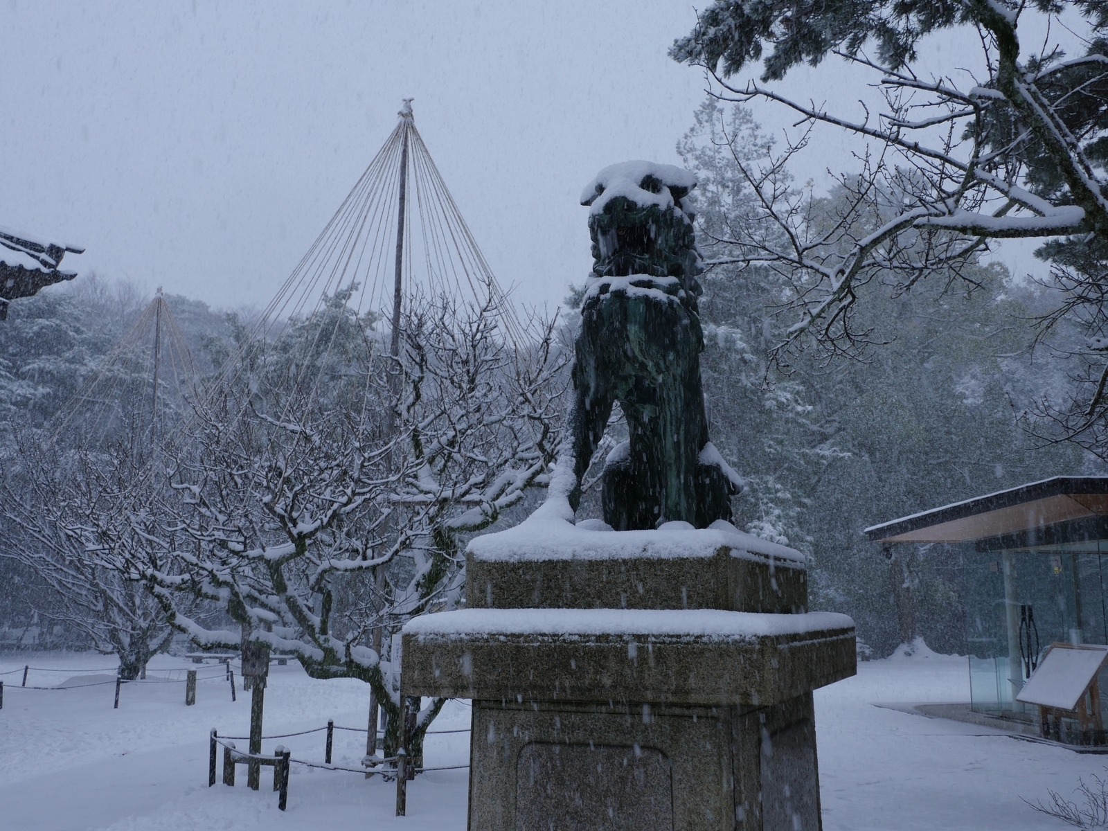 f:id:k10no3:20220205093557j:plain