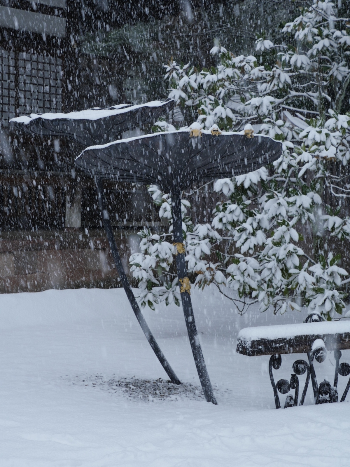 f:id:k10no3:20220205093715j:plain