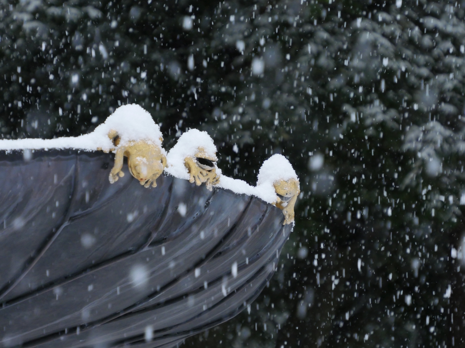 f:id:k10no3:20220205093729j:plain