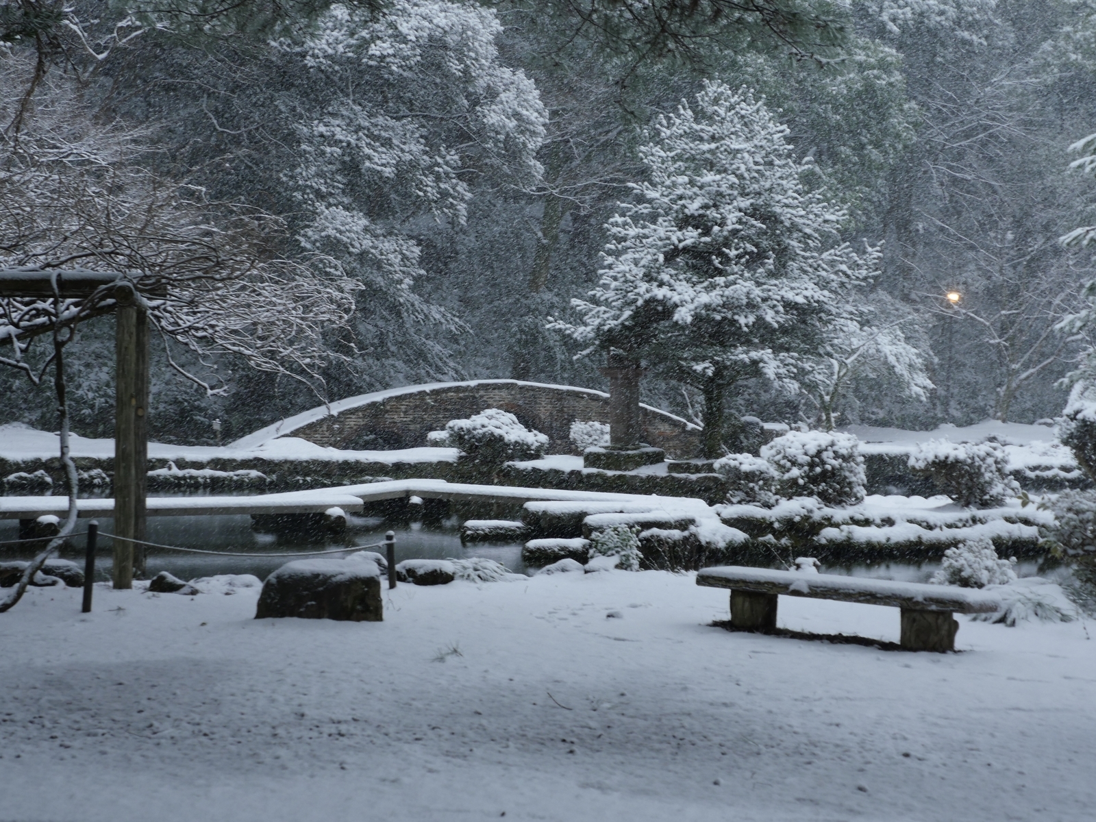 f:id:k10no3:20220205093833j:plain