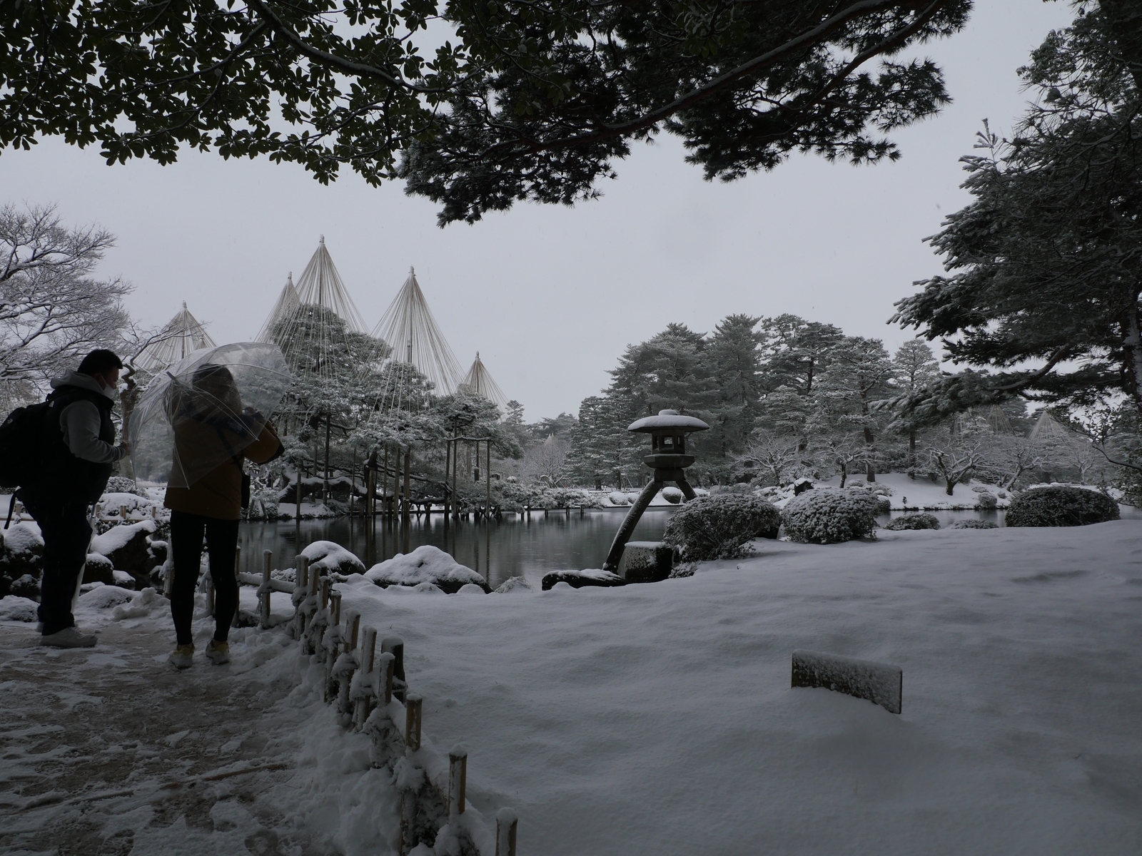 f:id:k10no3:20220205101519j:plain