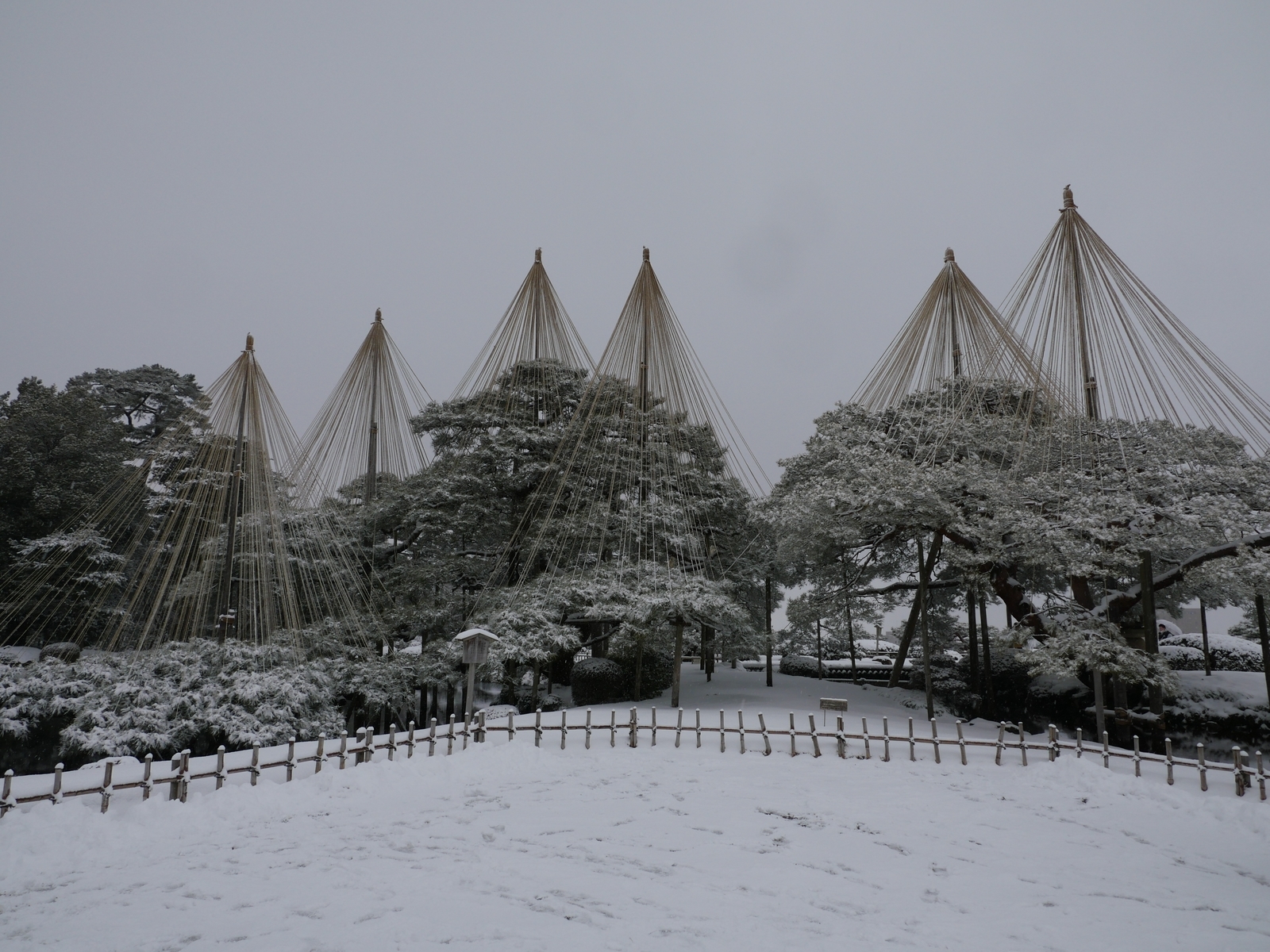 f:id:k10no3:20220205101754j:plain