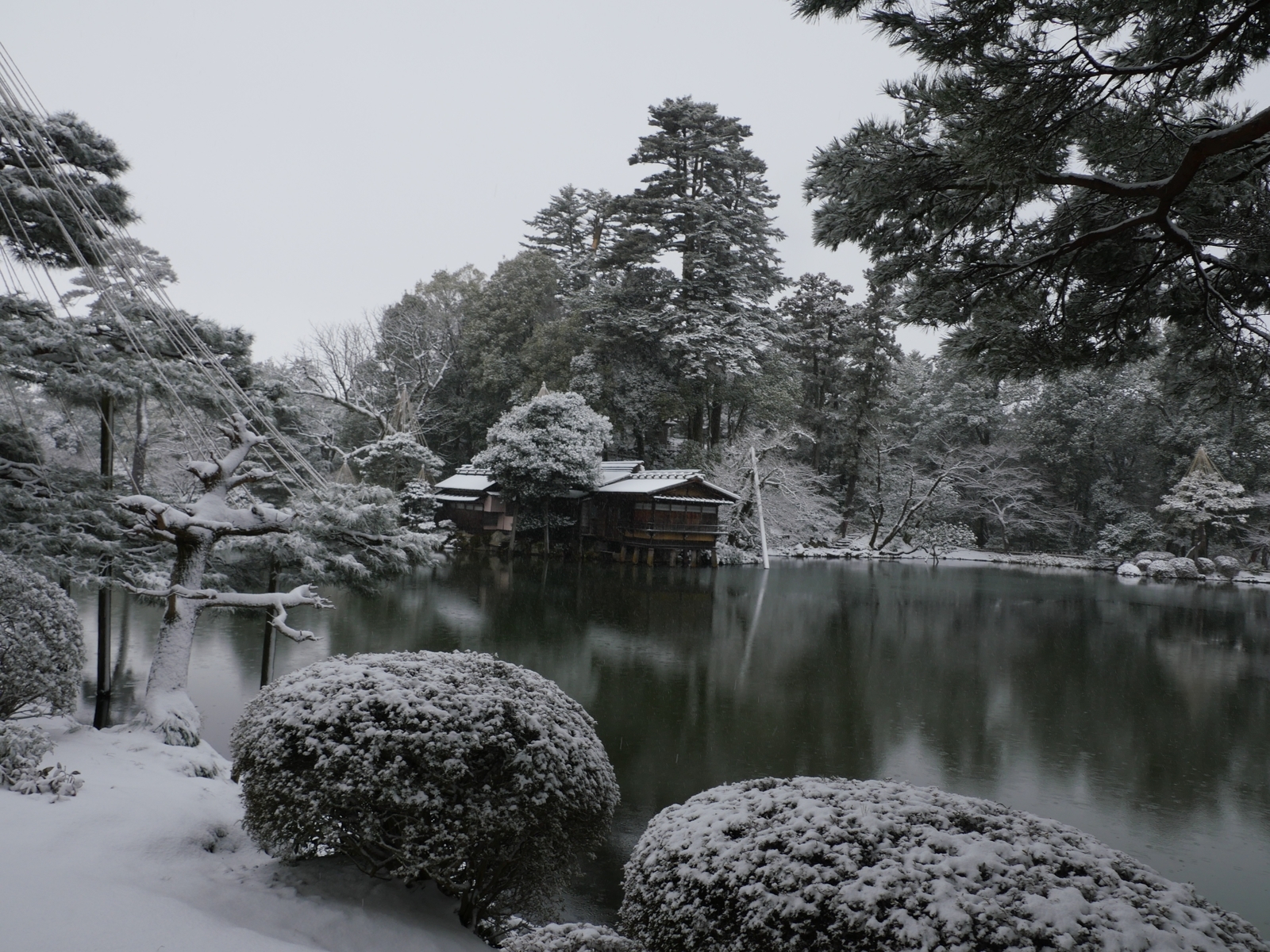 f:id:k10no3:20220205101850j:plain