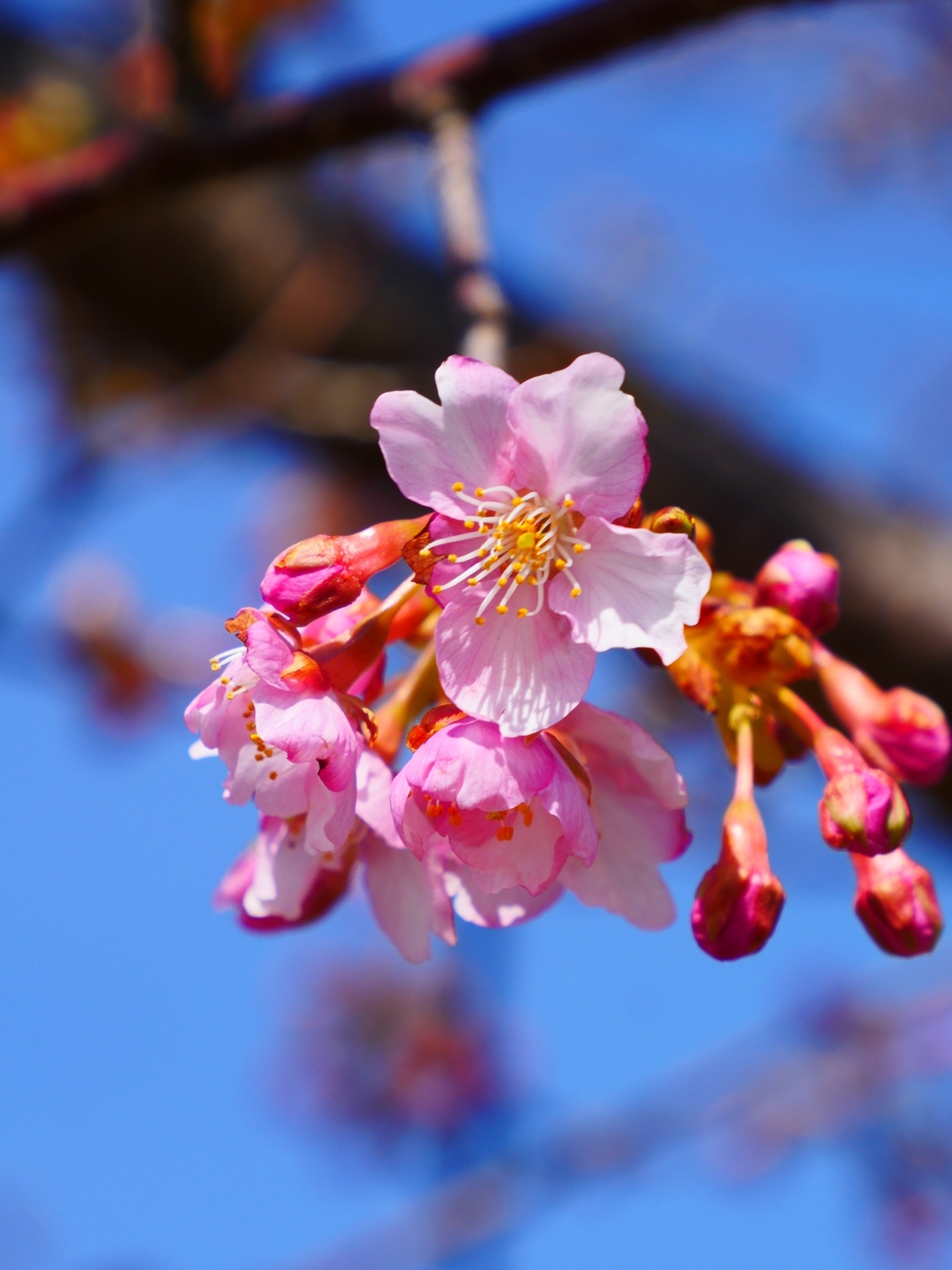 f:id:k10no3:20220304115711j:plain