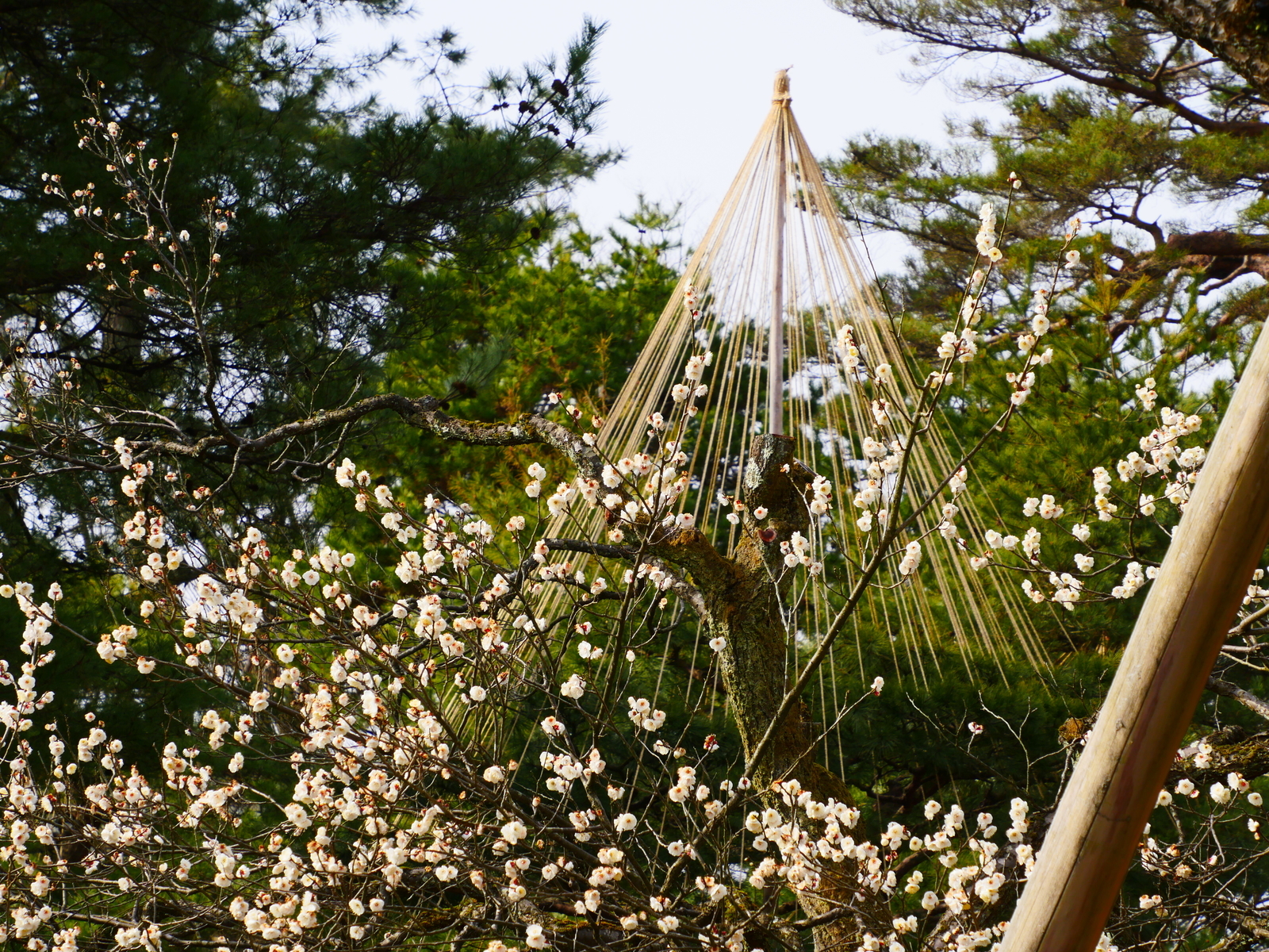 f:id:k10no3:20220305095804j:plain