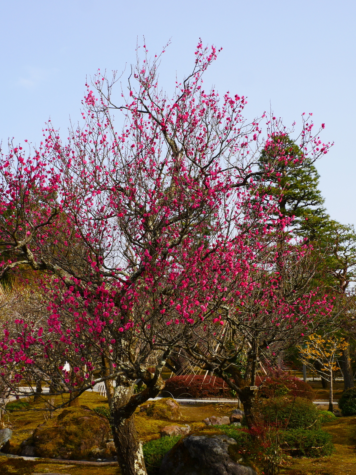 f:id:k10no3:20220305095955j:plain