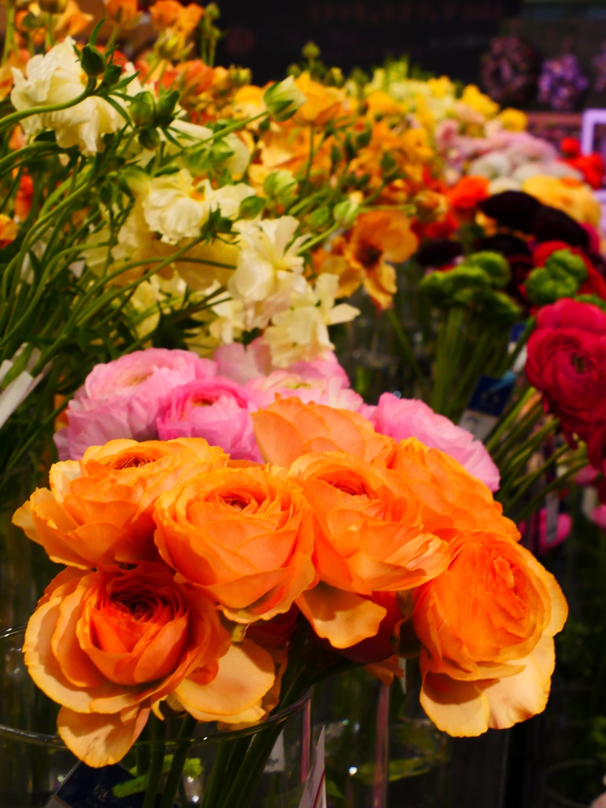 f:id:k10no3:20220305113401j:plain