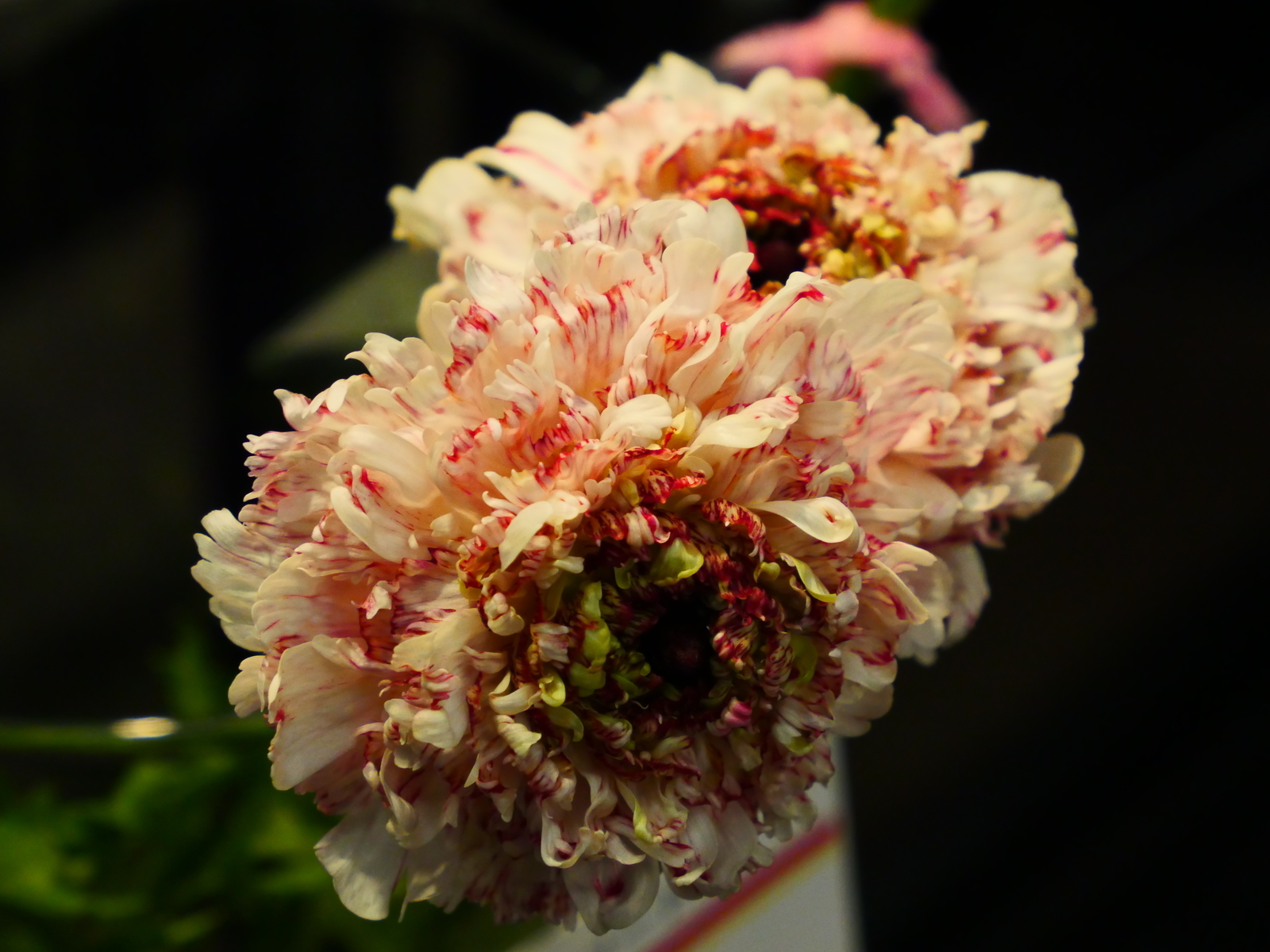f:id:k10no3:20220305113429j:plain