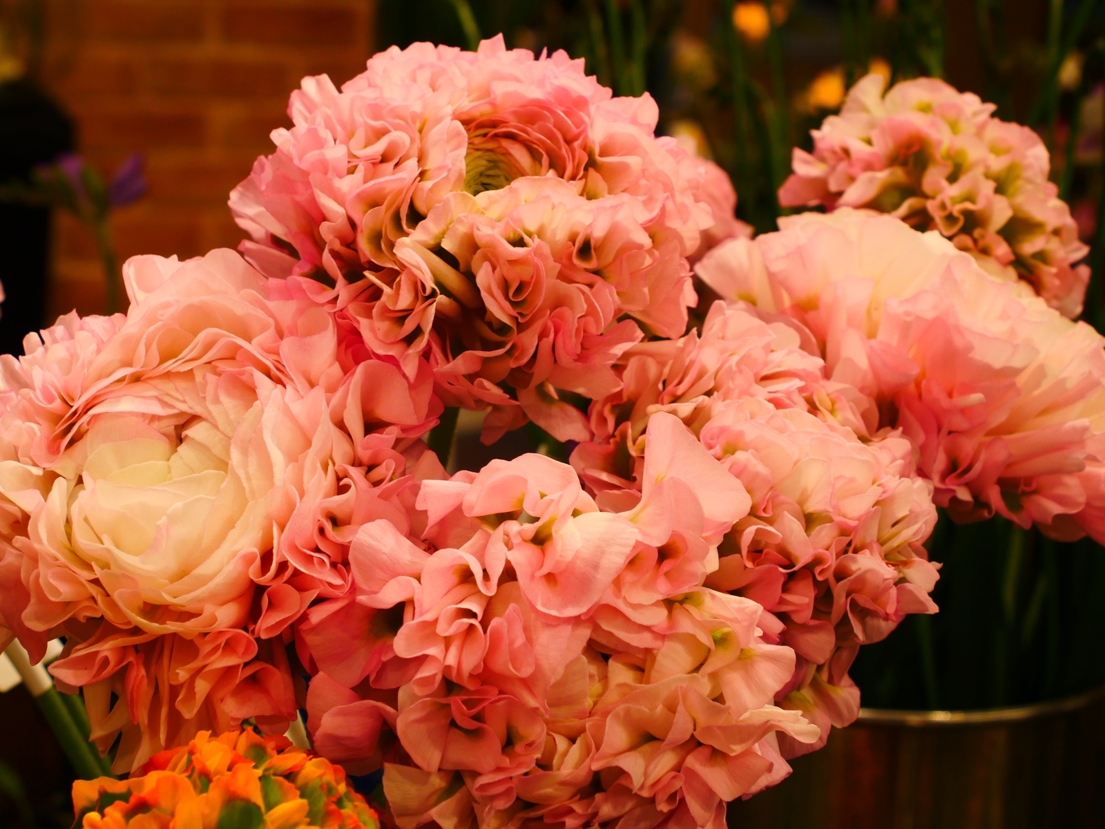 f:id:k10no3:20220305113716j:plain