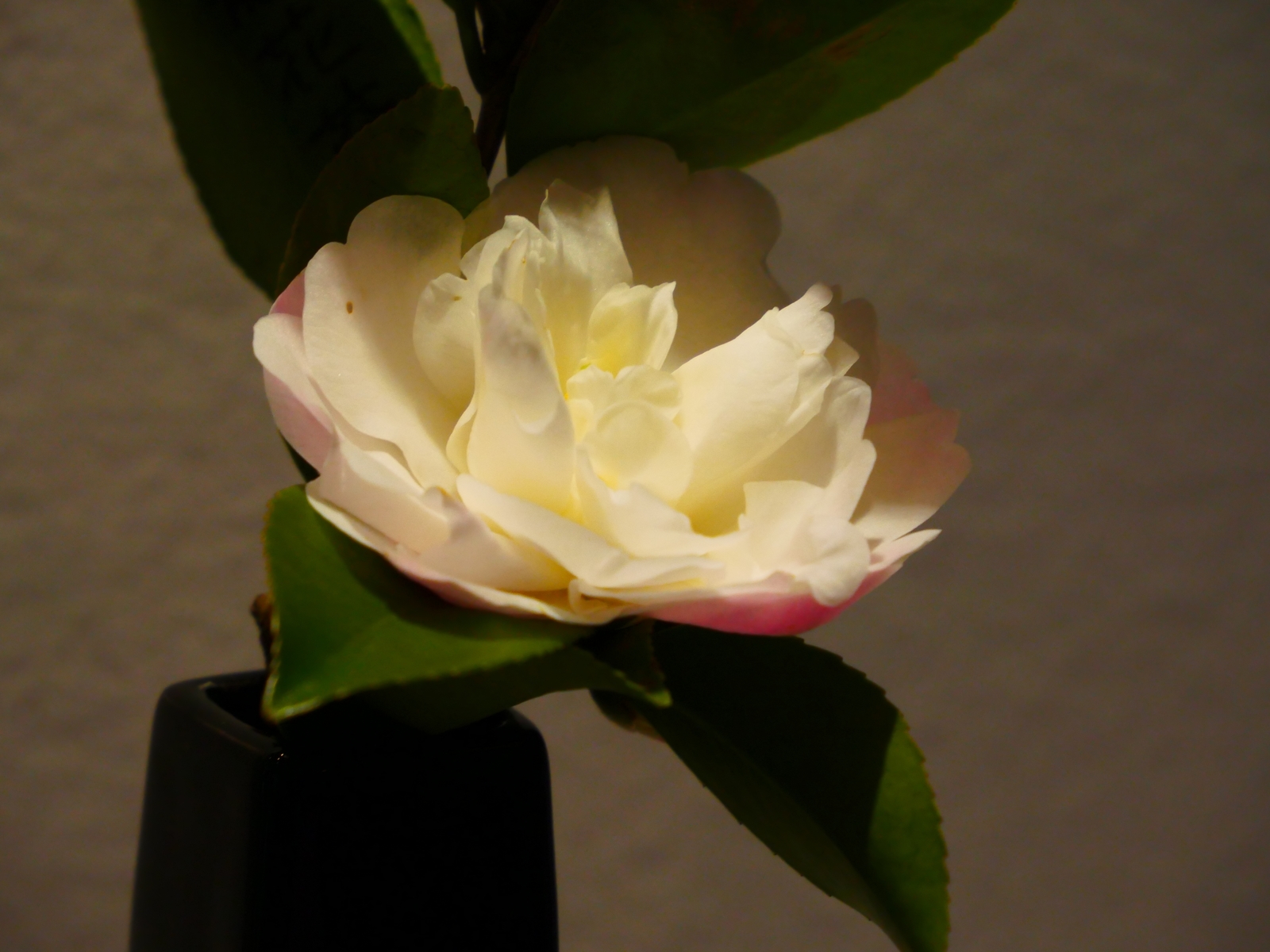 f:id:k10no3:20220312121552j:plain