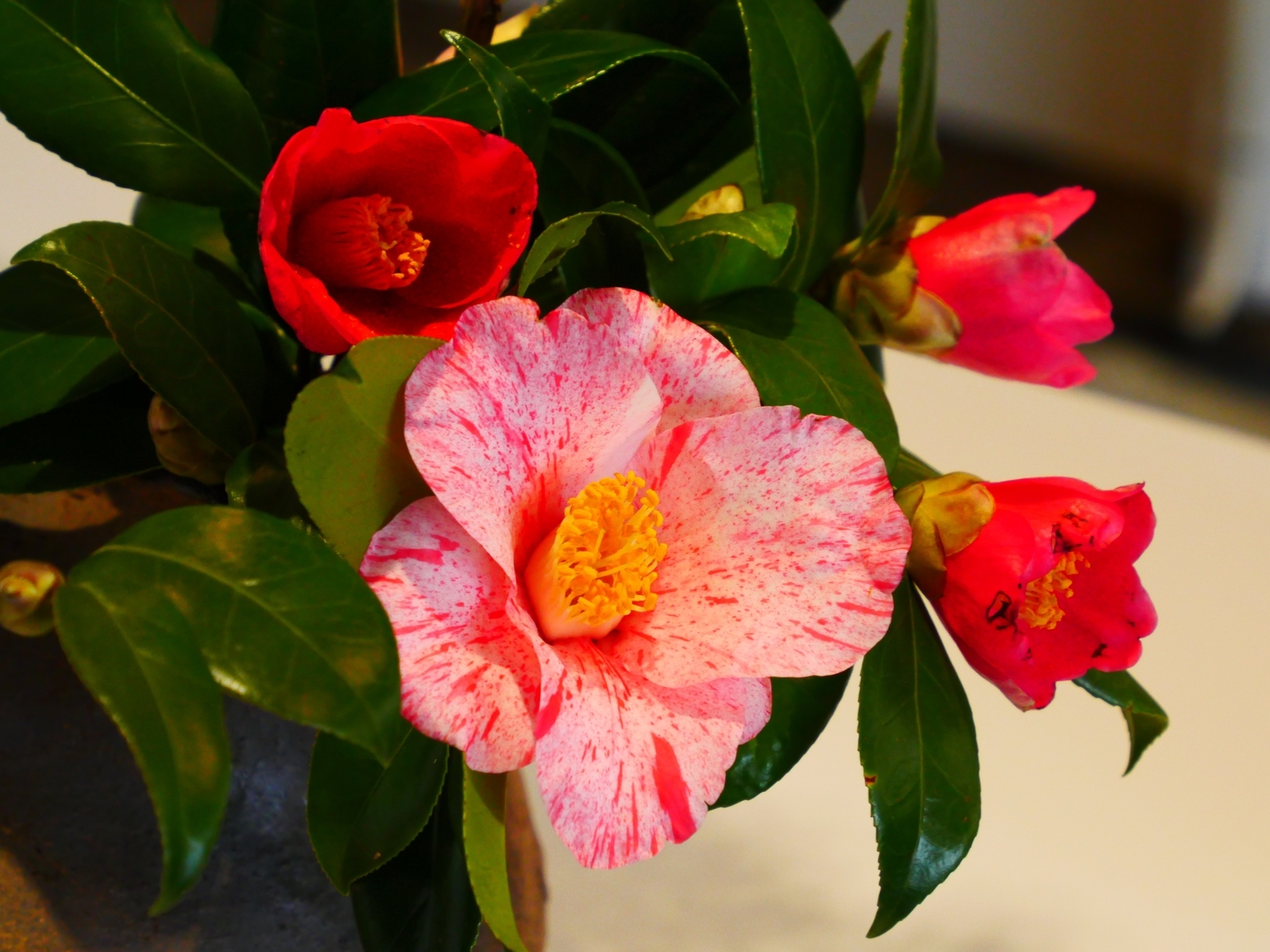 f:id:k10no3:20220312121943j:plain