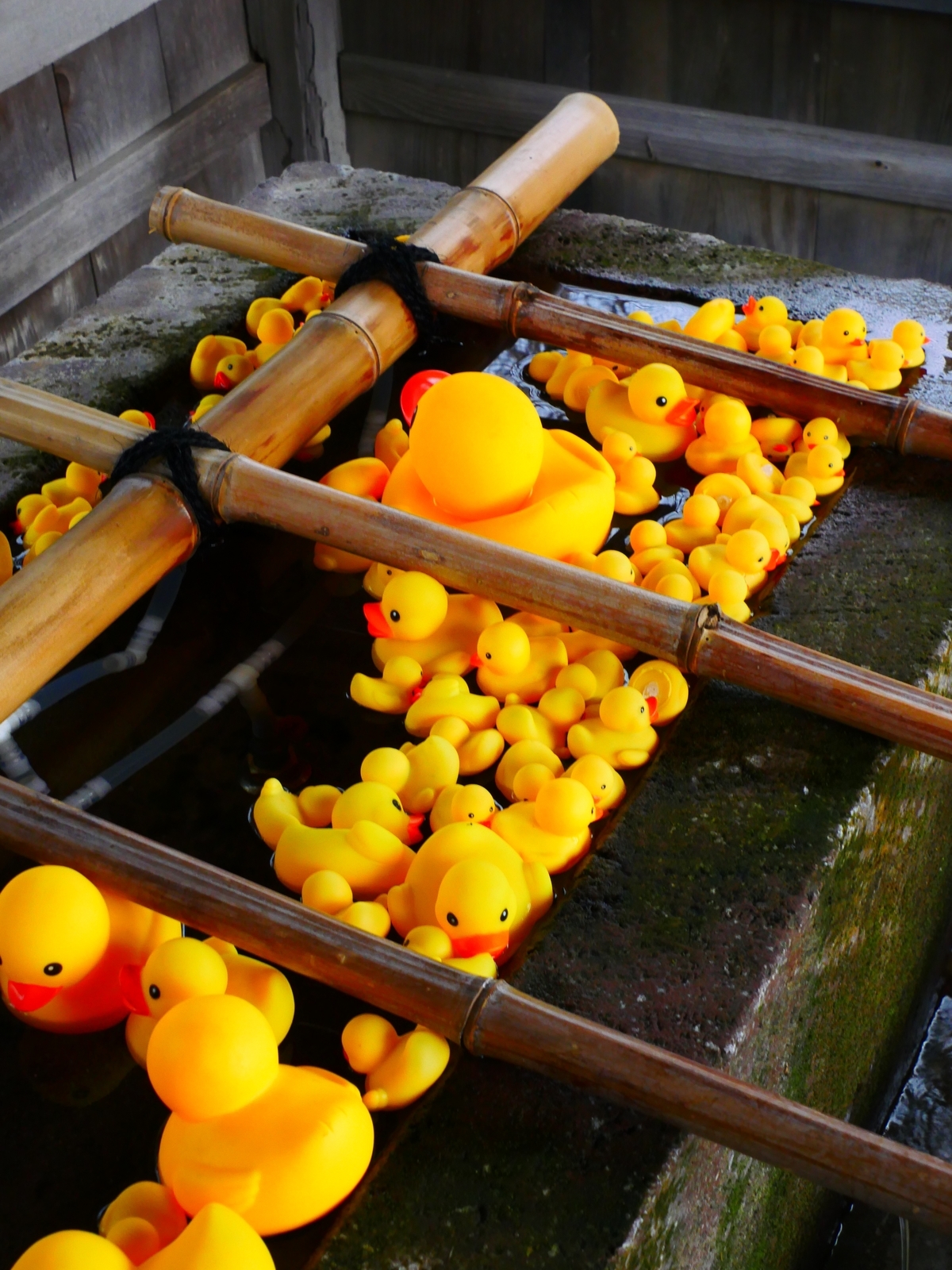 f:id:k10no3:20220313105137j:plain