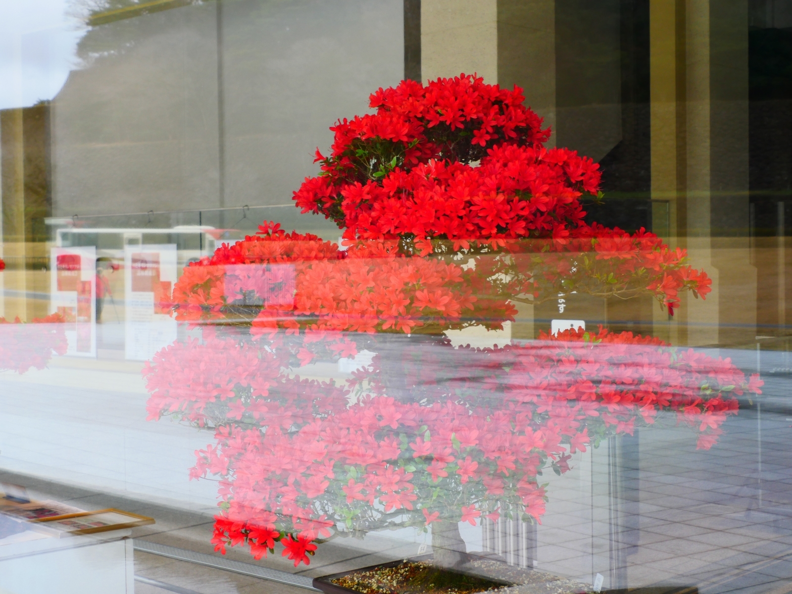 f:id:k10no3:20220319094431j:plain