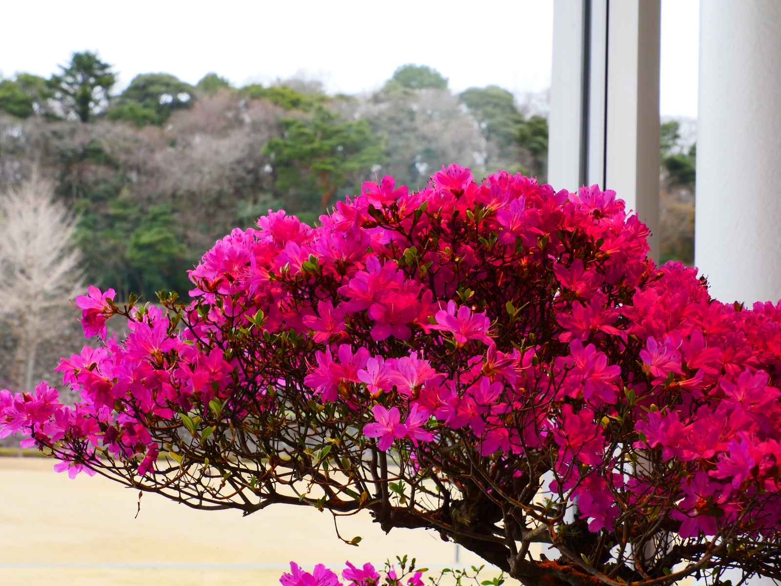 f:id:k10no3:20220319105747j:plain