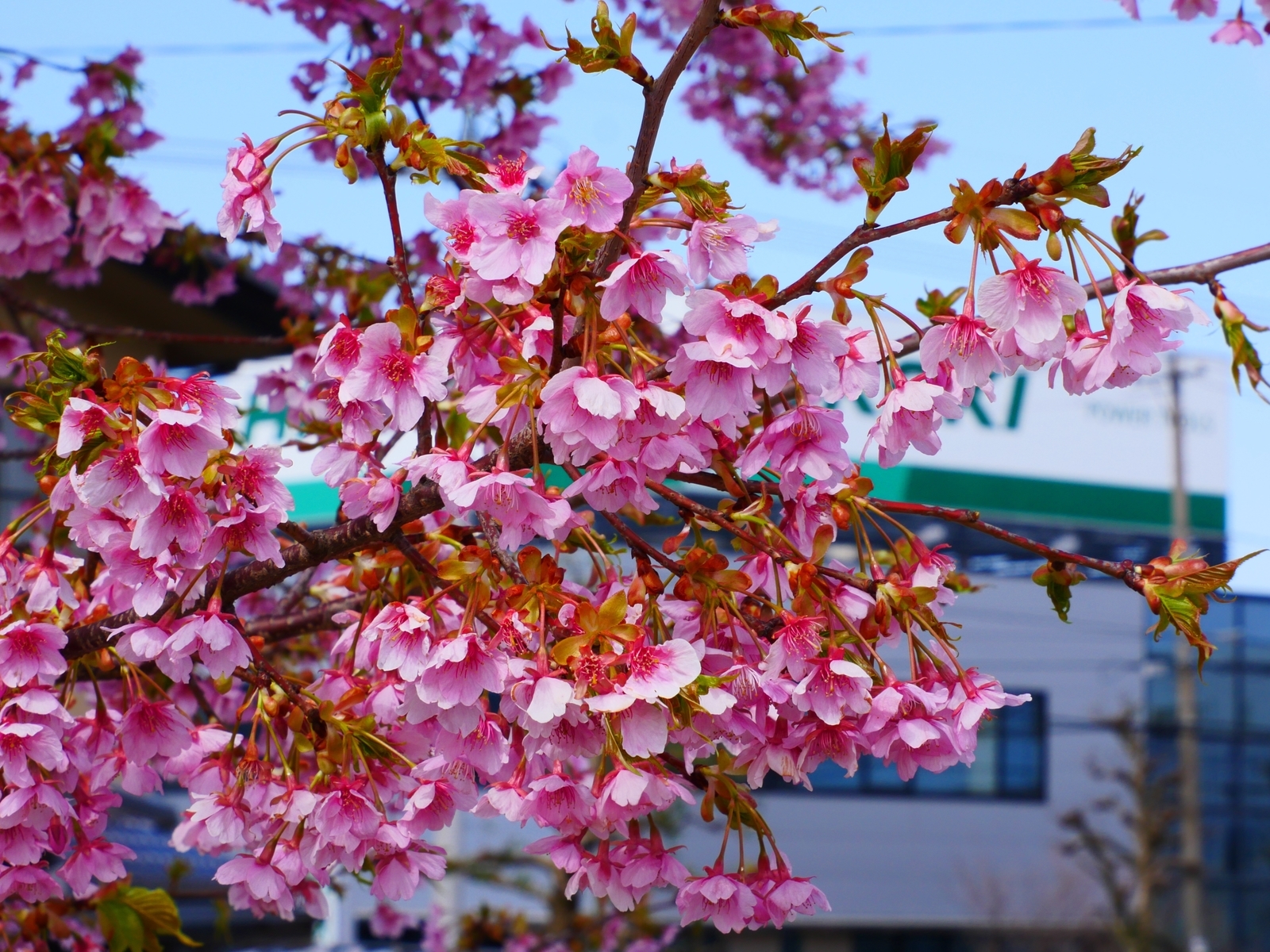 f:id:k10no3:20220320132028j:plain