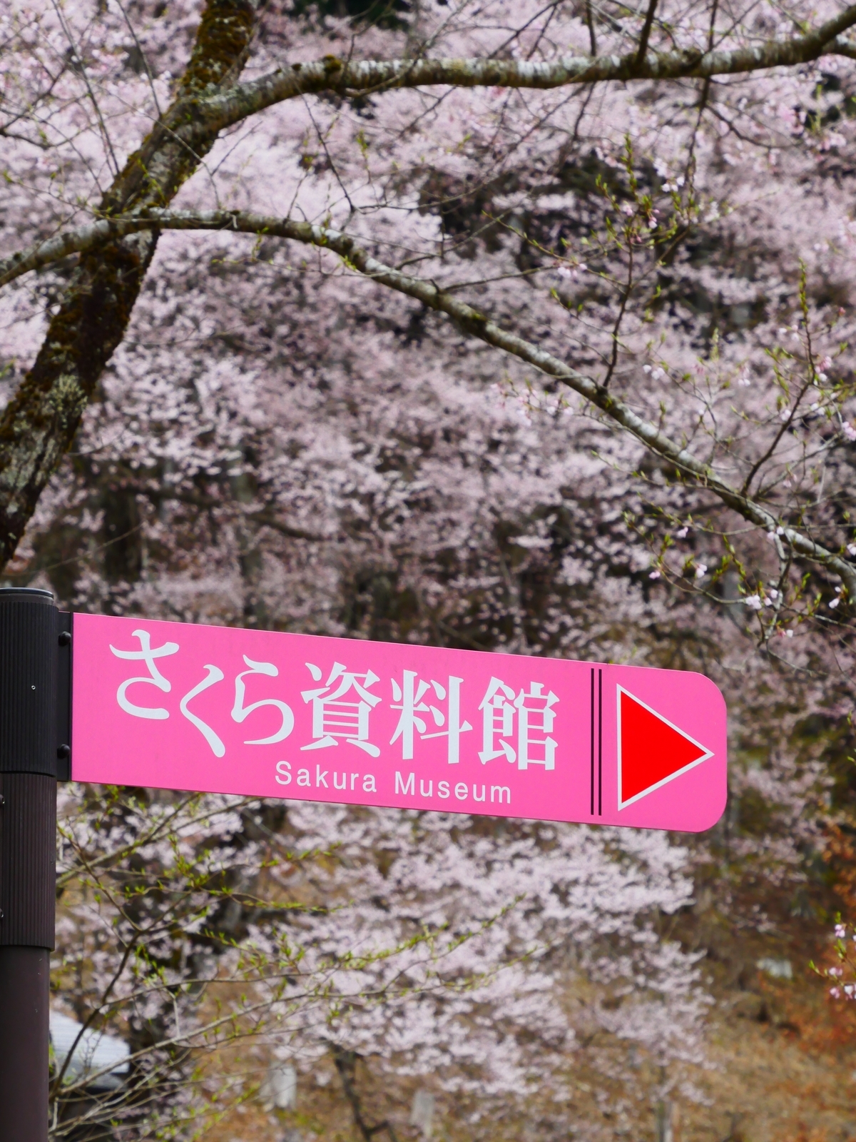 f:id:k10no3:20220403111420j:plain